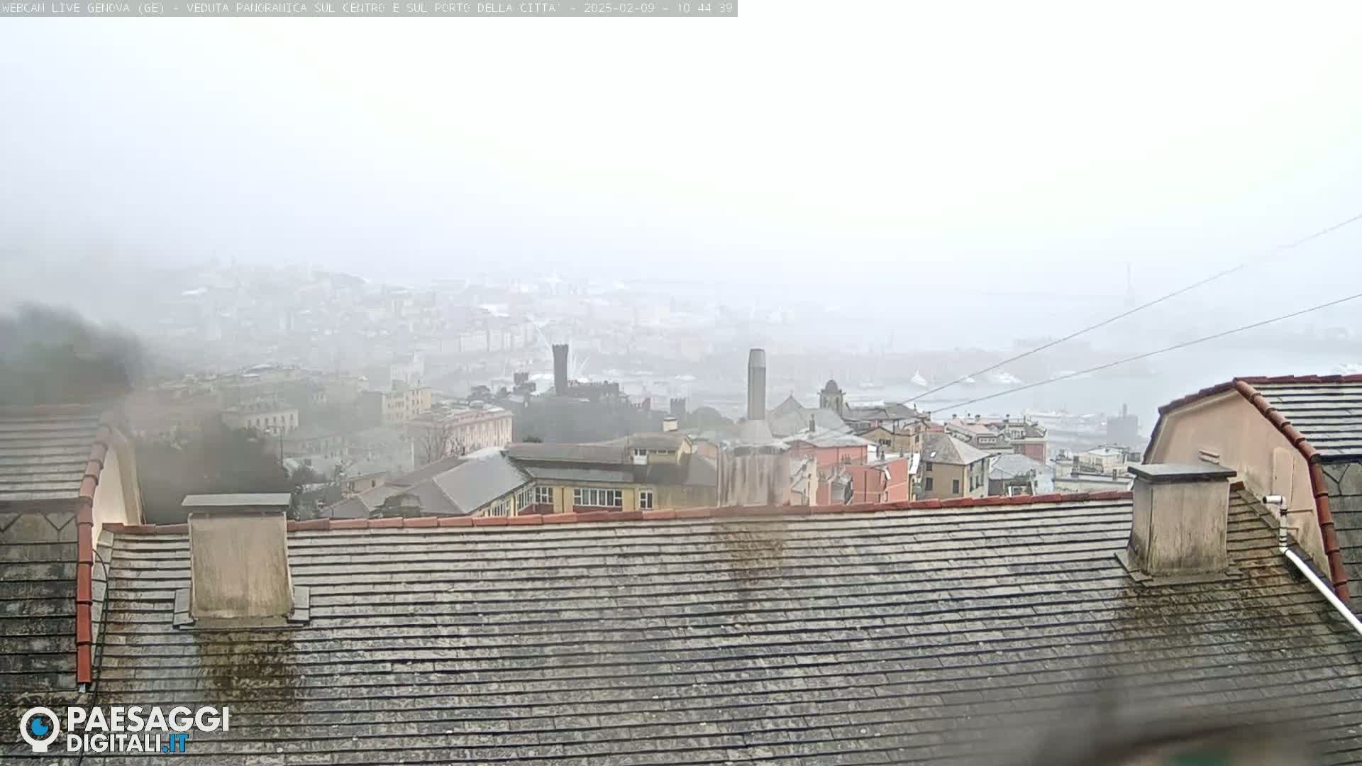 A hazy, rainy view of a city from a rooftop, showing many buildings and a distant body of water.