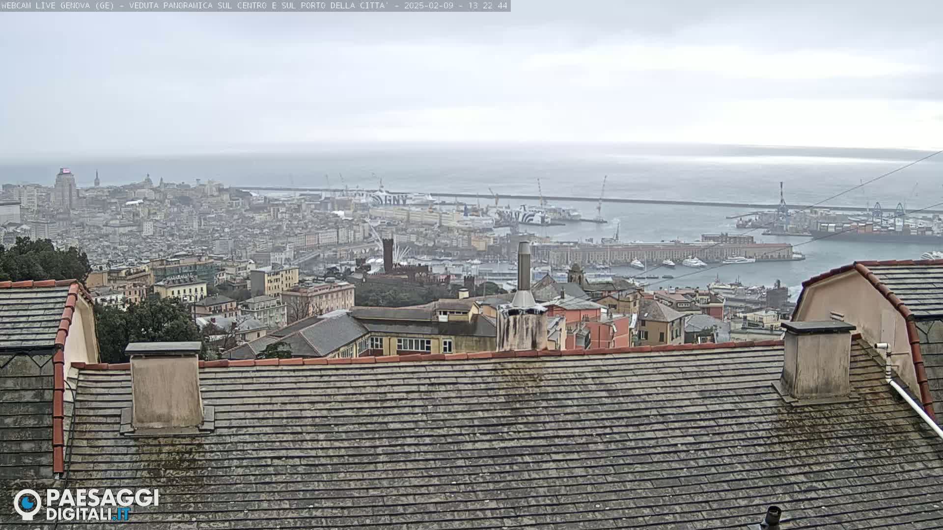 A panoramic view of a city and harbor on an overcast day, seen from a rooftop.