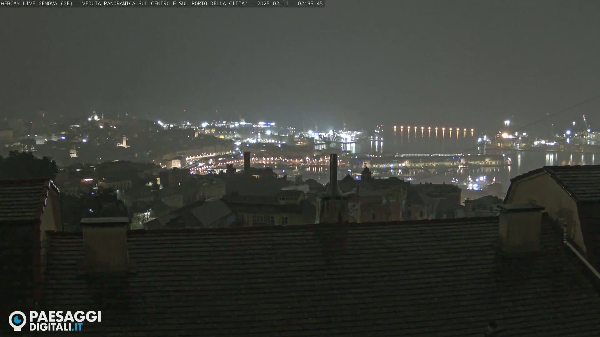 A nighttime, hazy view of a city and harbor illuminated by lights, seen from a high vantage point.