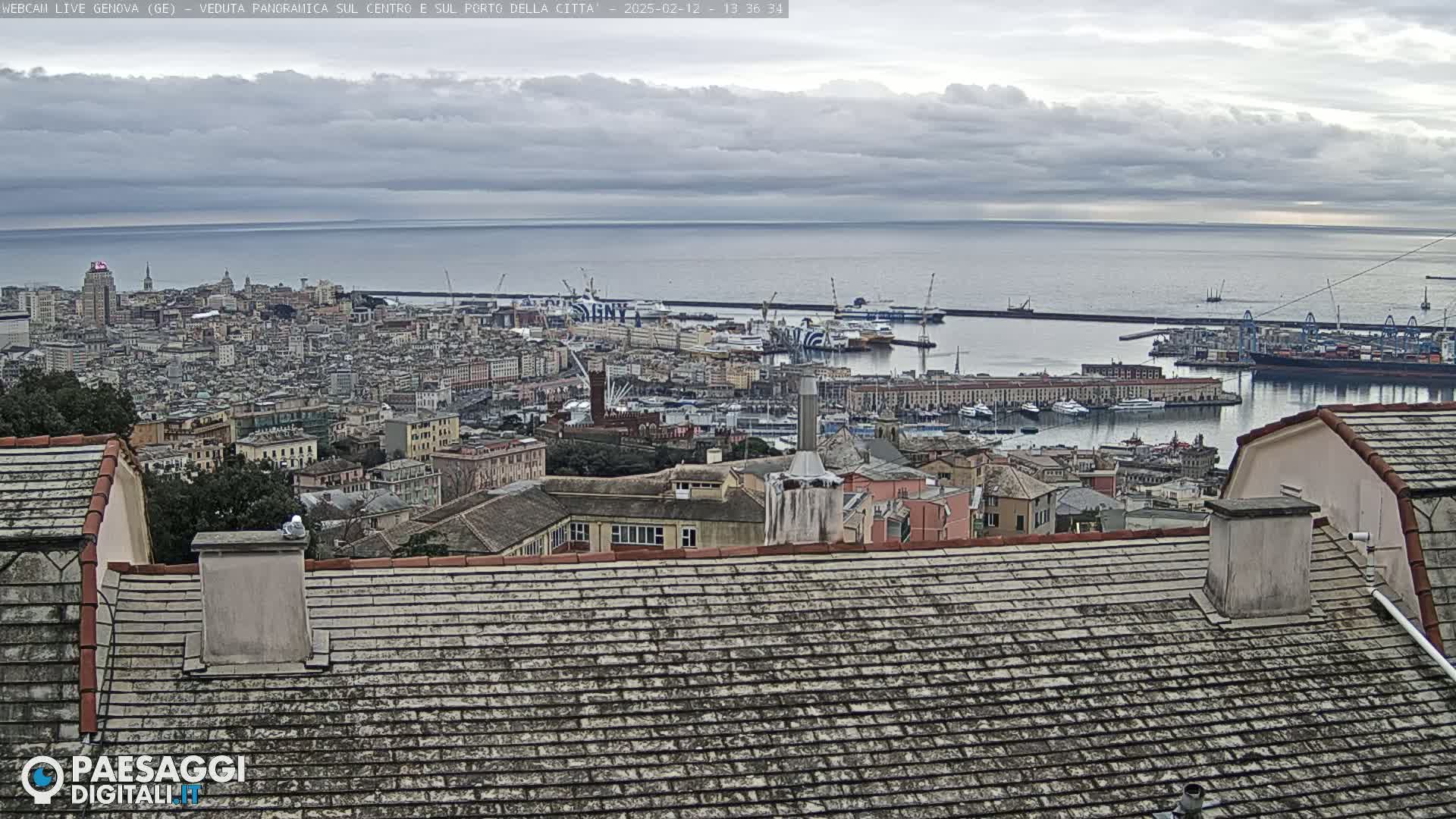 A panoramic view of a city and its harbor on an overcast day, seen from a rooftop.