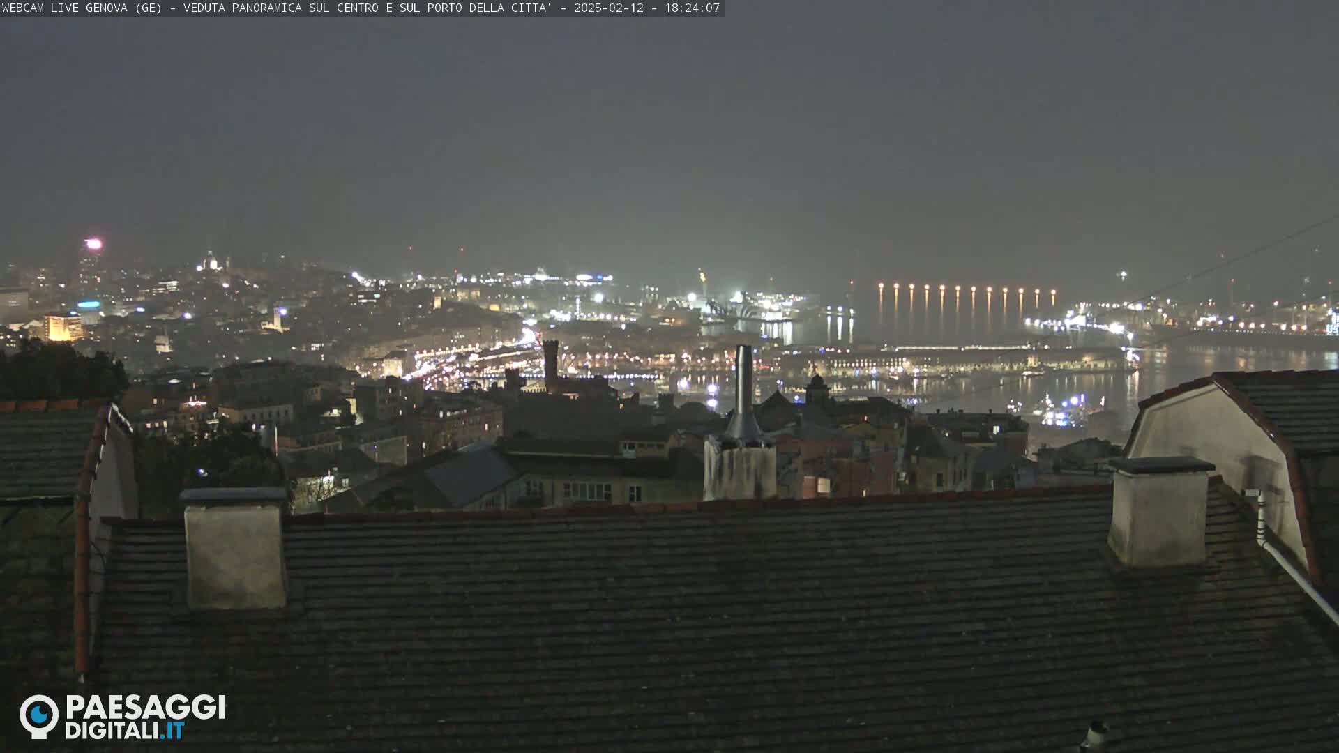 A nighttime, hazy view from a rooftop shows a city with illuminated buildings and a harbor stretching to the water's edge.