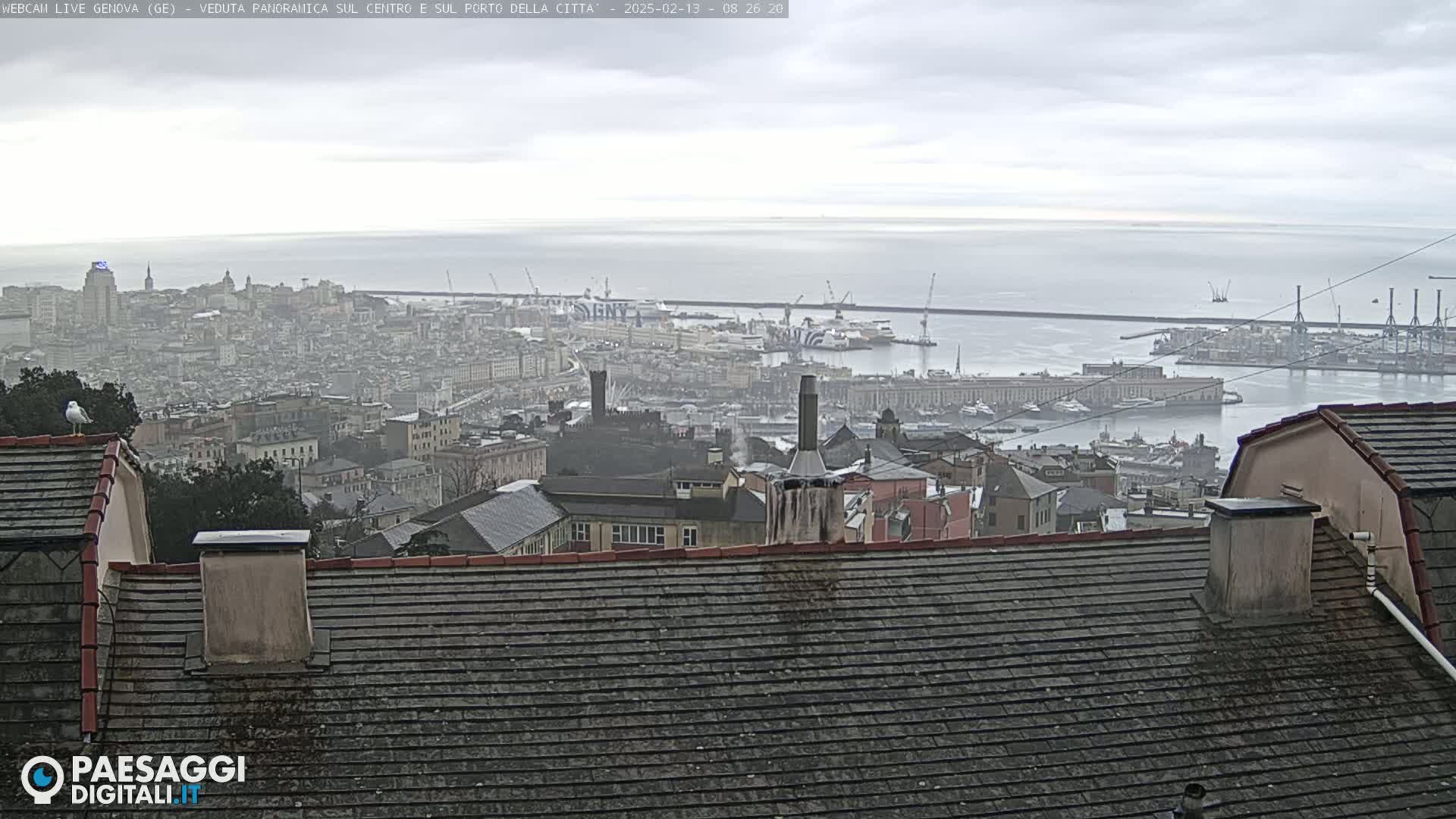 A distant view of a city and harbor on an overcast day, seen from a rooftop with a seagull perched on a nearby building.