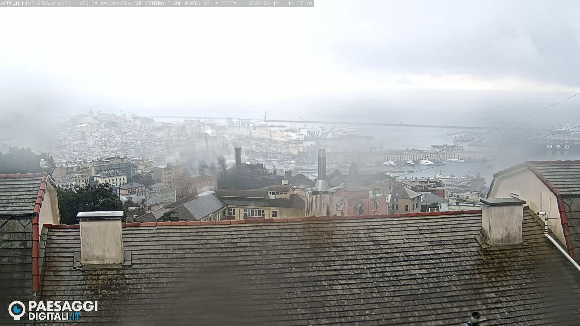 A hazy, overcast view of a city harbor and rooftops, with smoke rising from industrial structures.