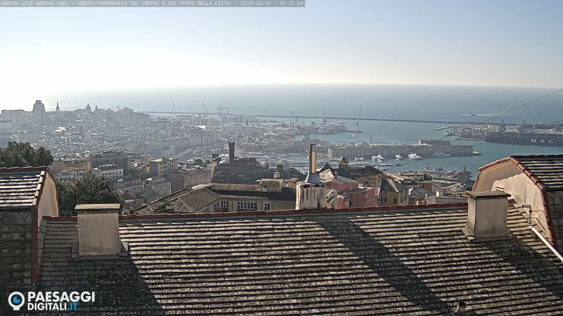A hazy, sunny day overlooking a city's harbor and cityscape, as seen from a rooftop.