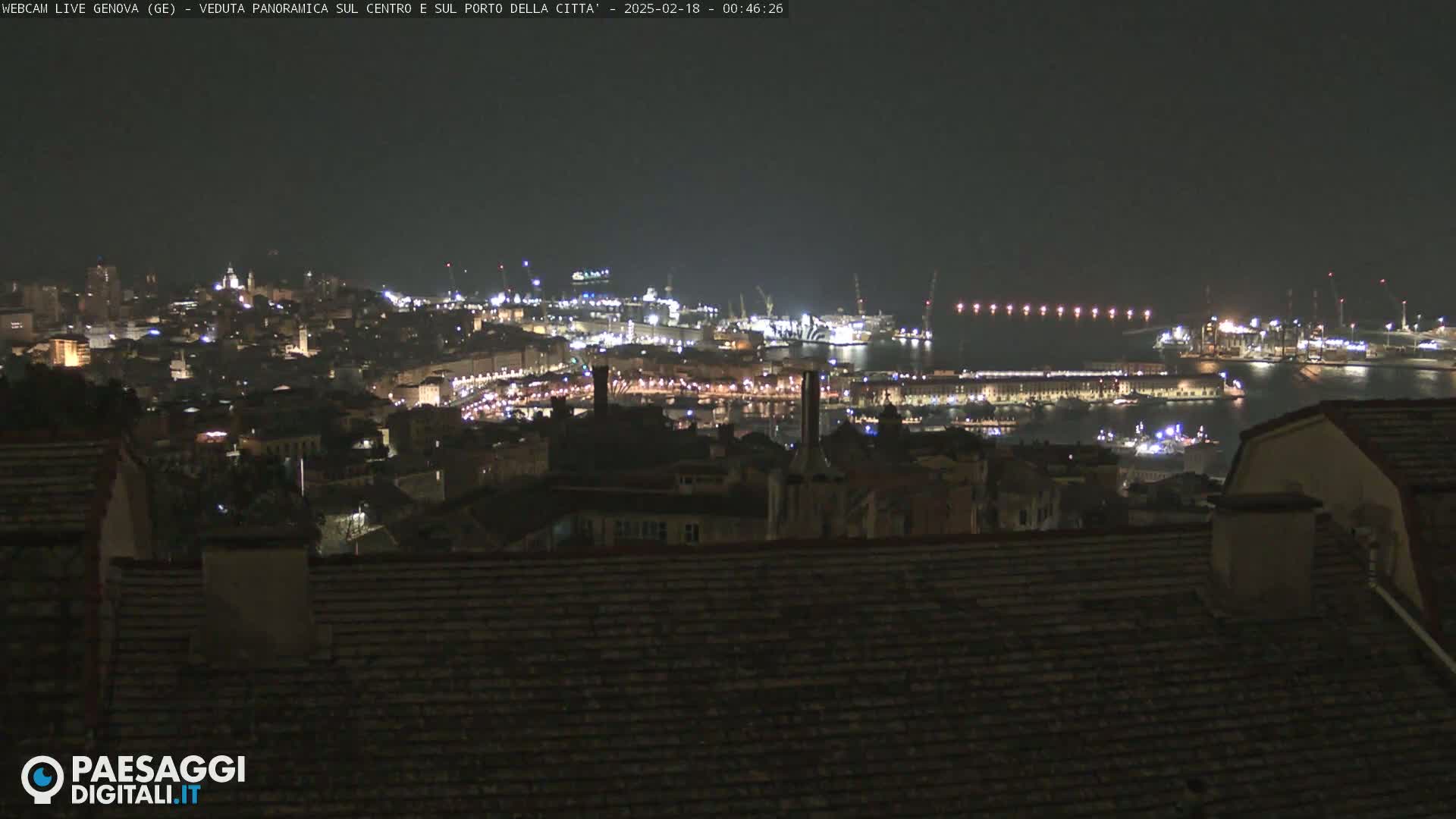 A nighttime, panoramic view of a city's illuminated harbor and buildings.