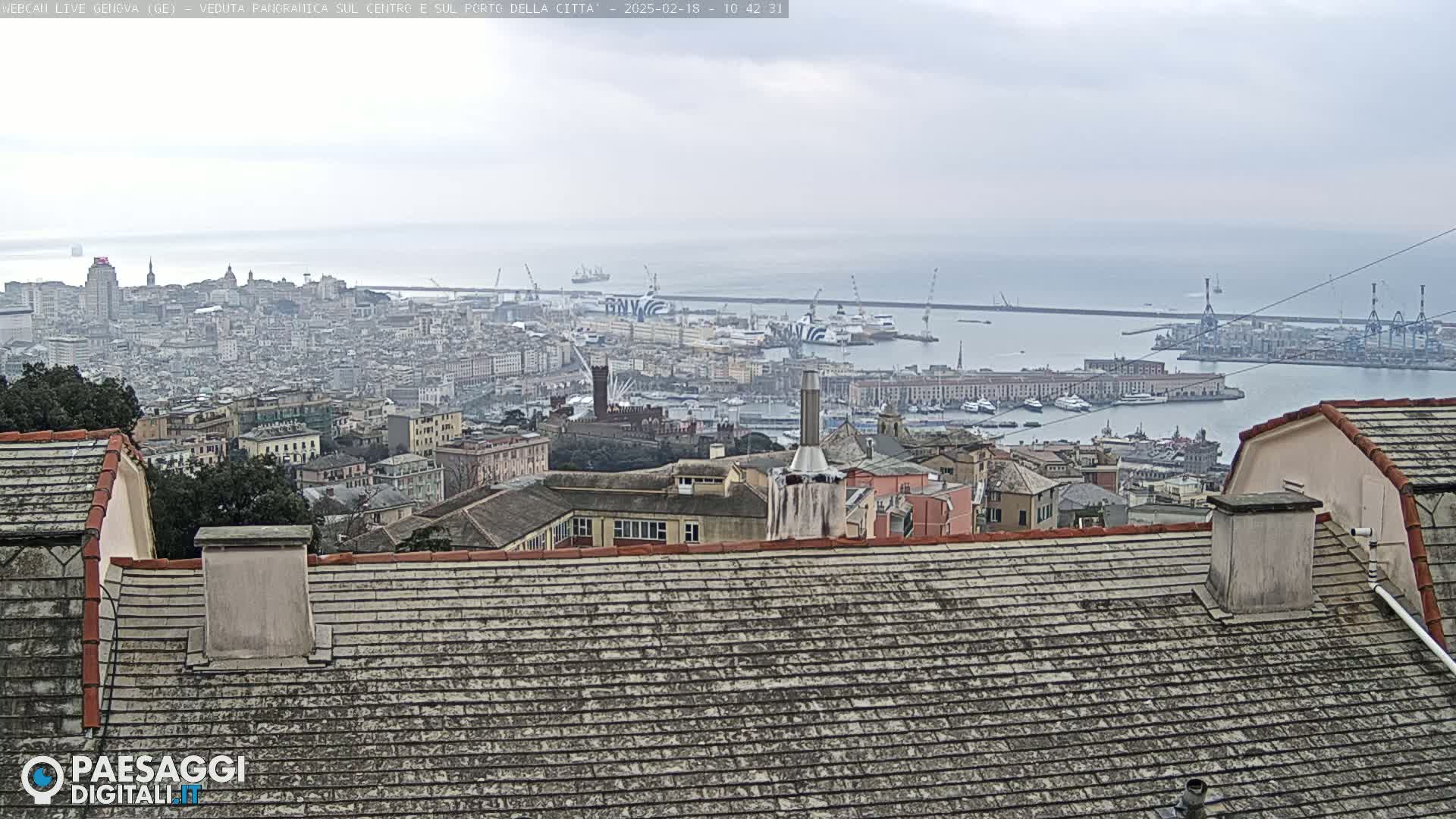 A panoramic view of a city and its harbor on an overcast day, seen from a rooftop.