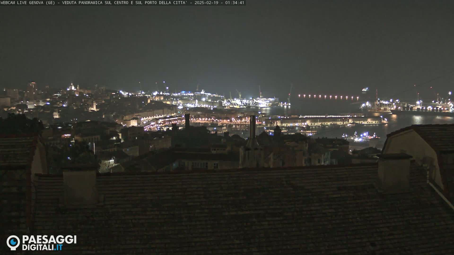 A nighttime panoramic view of a city and harbor illuminated by lights, under a dark sky.