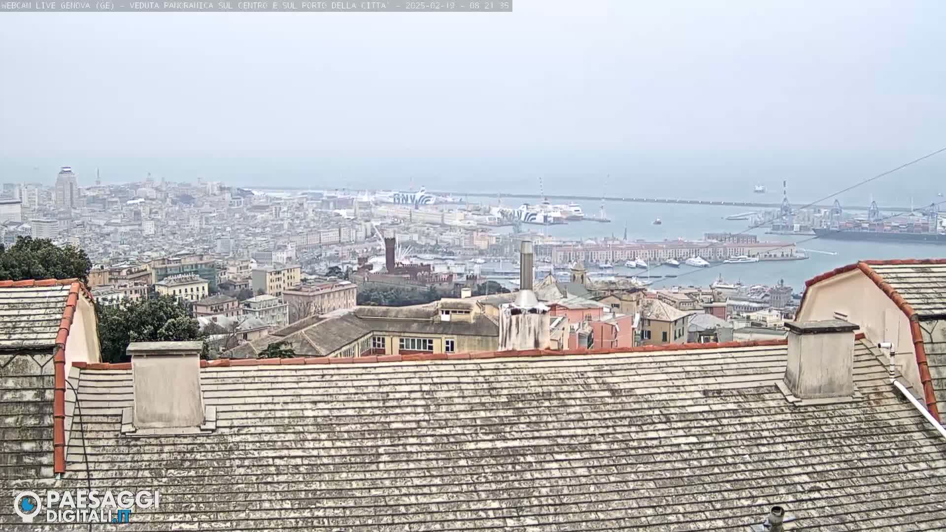 A hazy view of a city and harbor, seen from a rooftop.