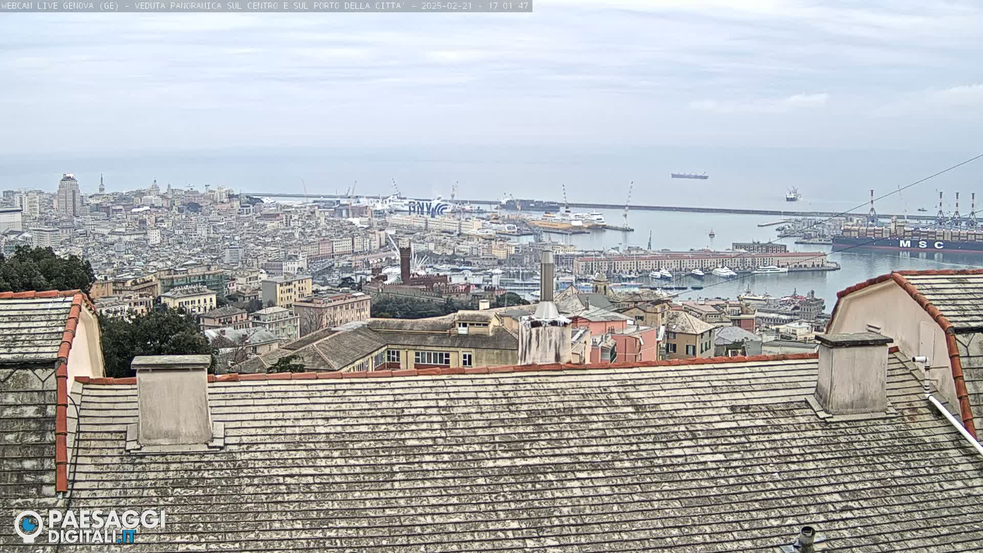 A panoramic view of a city and its harbor on an overcast day, seen from a rooftop.