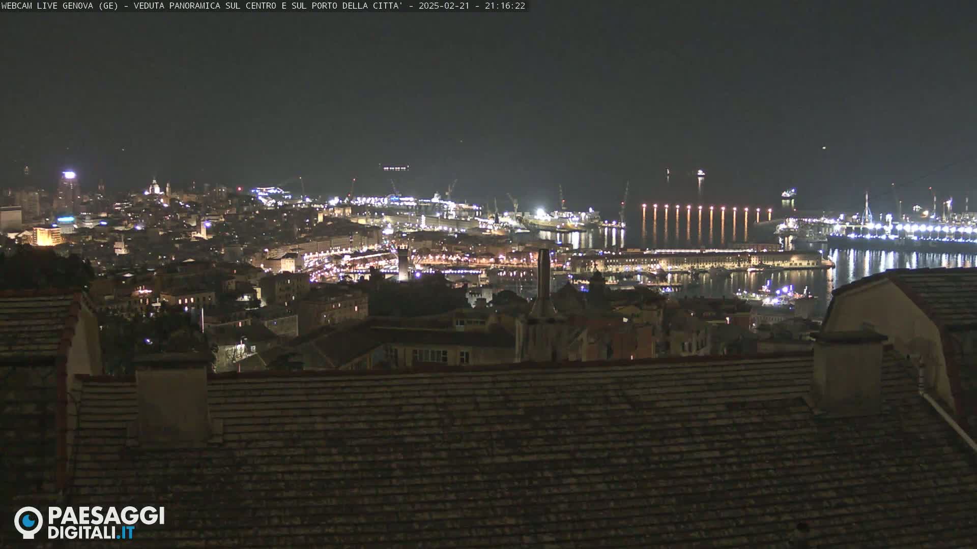 A nighttime panoramic view of a city's illuminated harbor and buildings from a high vantage point.
