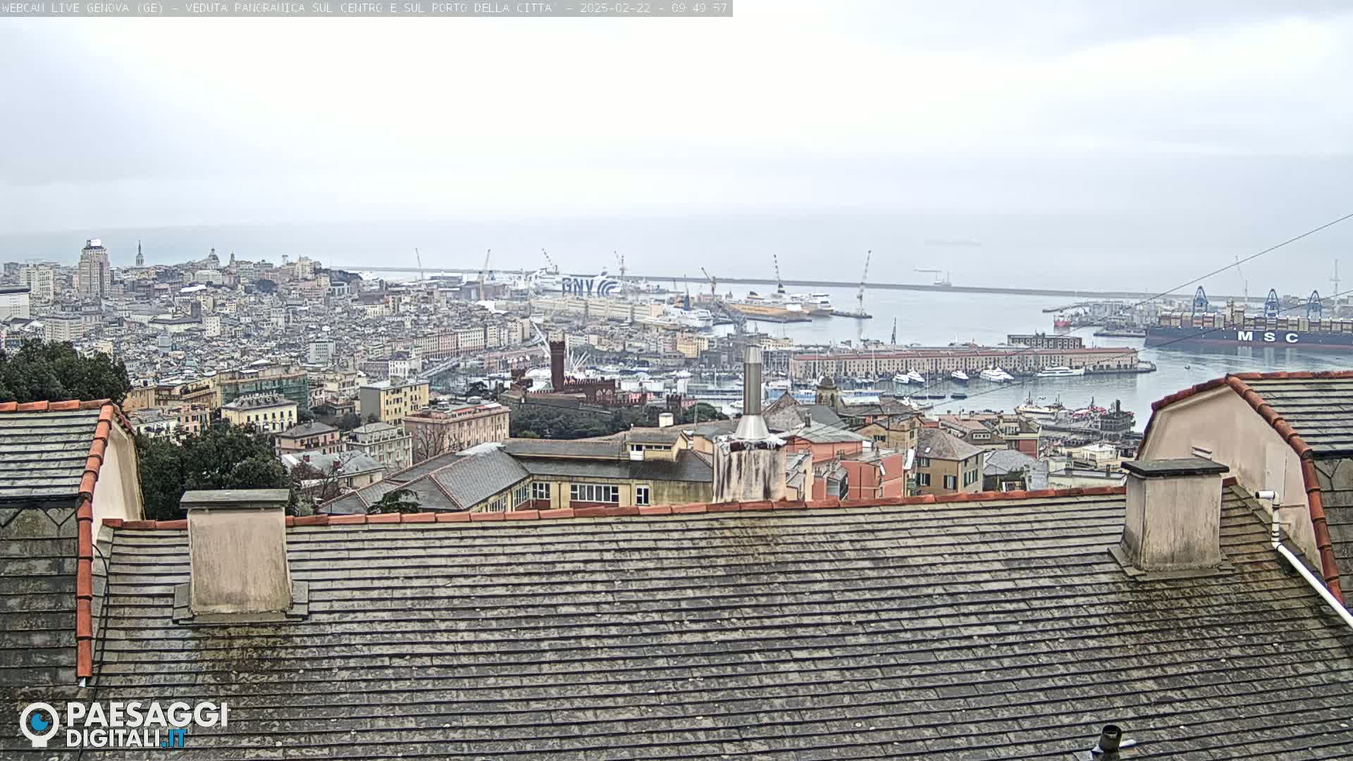 A panoramic view of a city and harbor on an overcast day, seen from a rooftop.