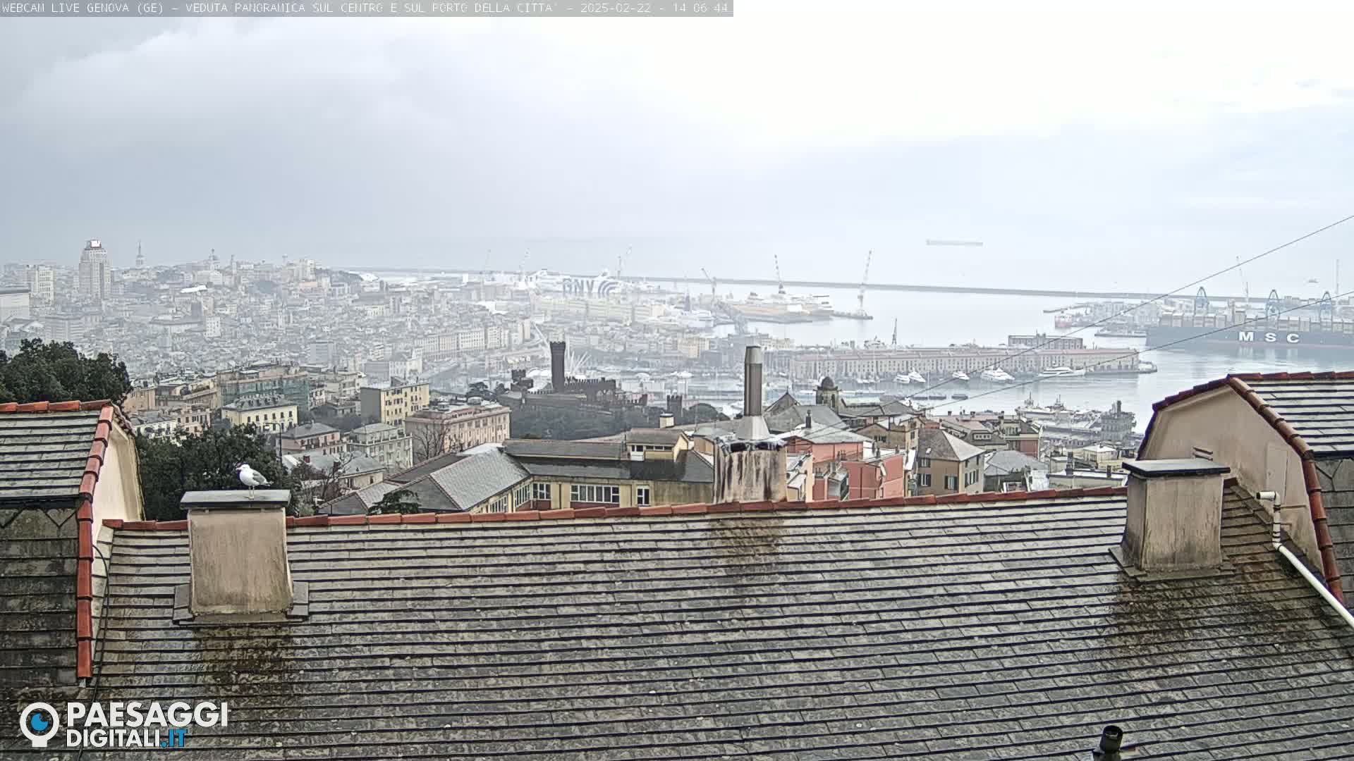 A hazy view of a city and harbor, seen from a rooftop, with a seagull perched on a chimney.