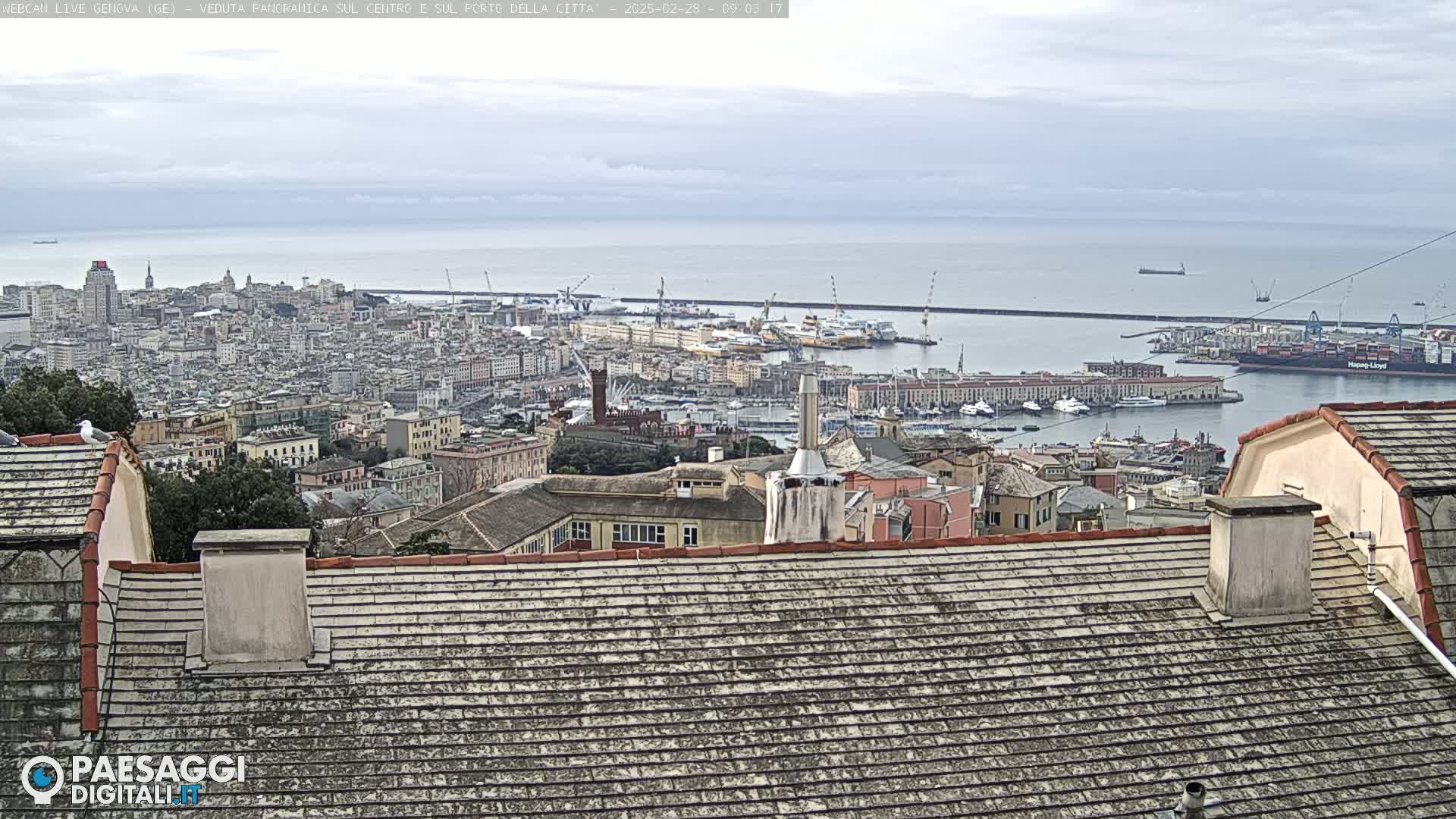 A city with a harbor and many buildings is visible from a high vantage point on an overcast day.