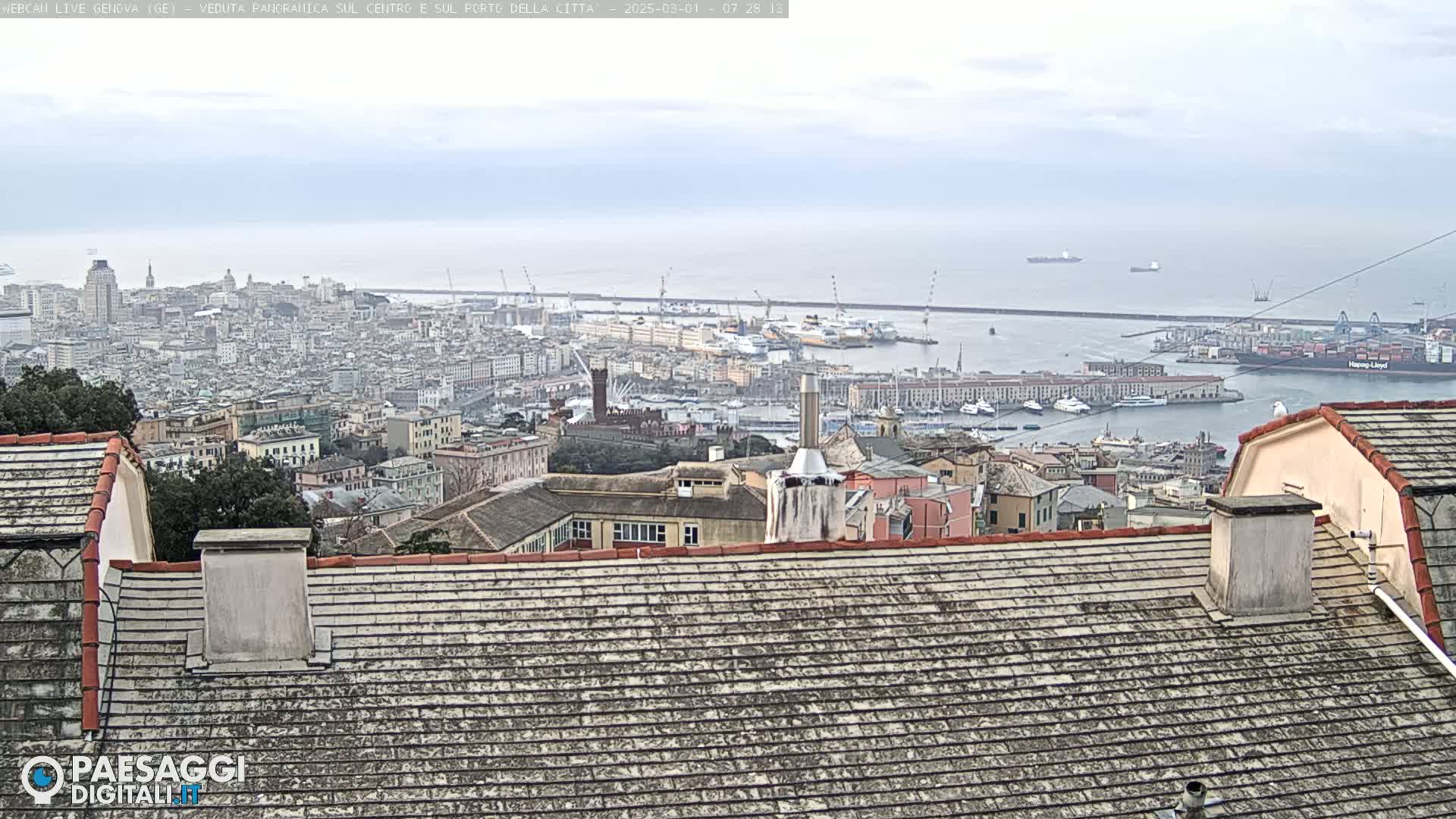 A panoramic view of a city harbor and cityscape on an overcast day, seen from a high vantage point above rooftops.