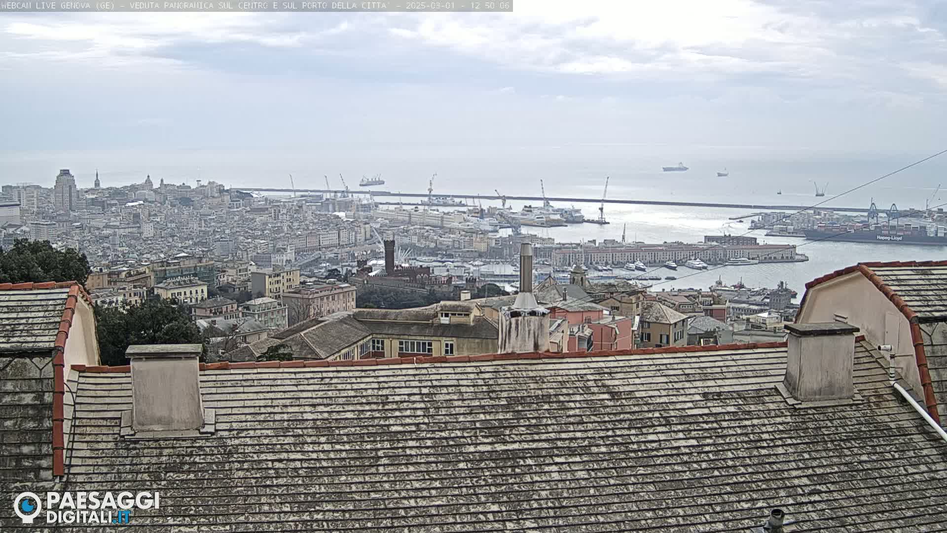 A panoramic view of a city and its harbor on an overcast day, seen from a high vantage point overlooking rooftops.