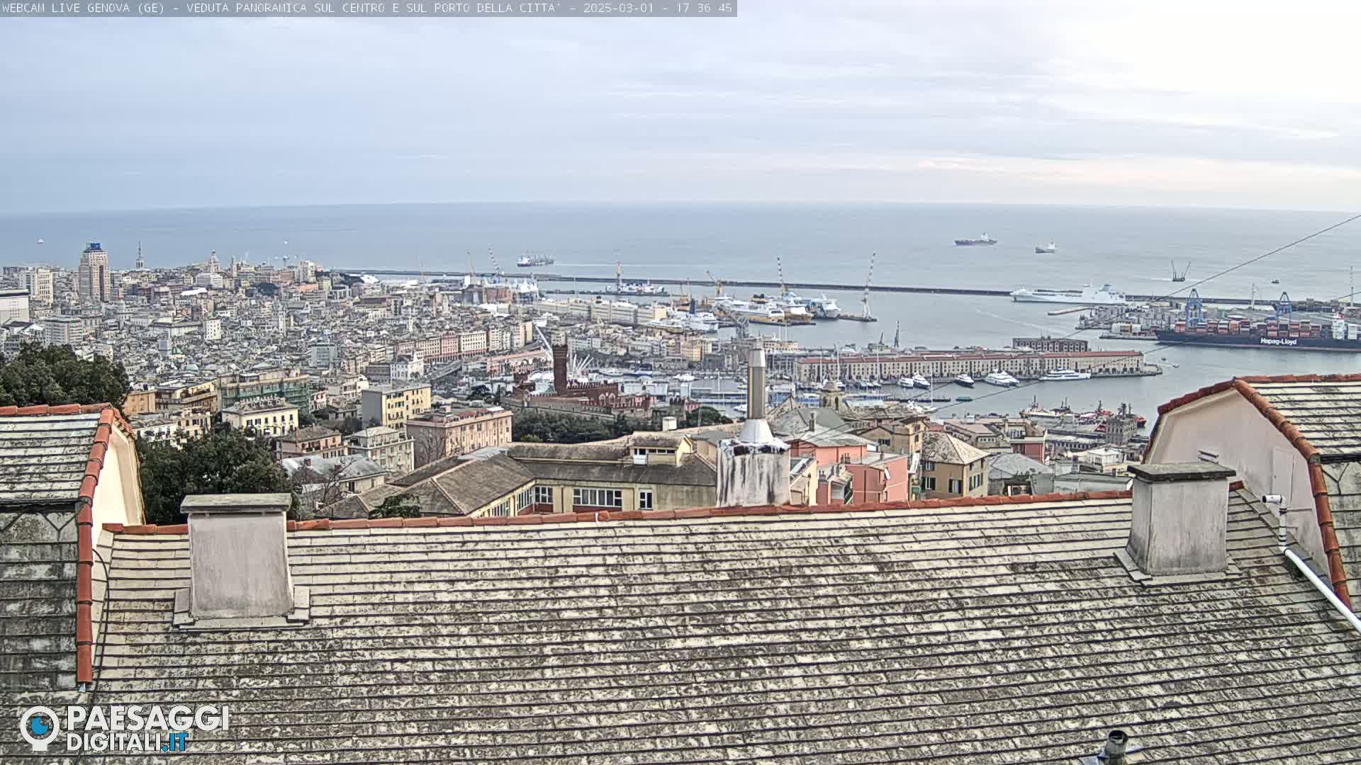 A panoramic view of a city and its harbor on an overcast day, with numerous buildings and ships visible, is seen from a high vantage point.