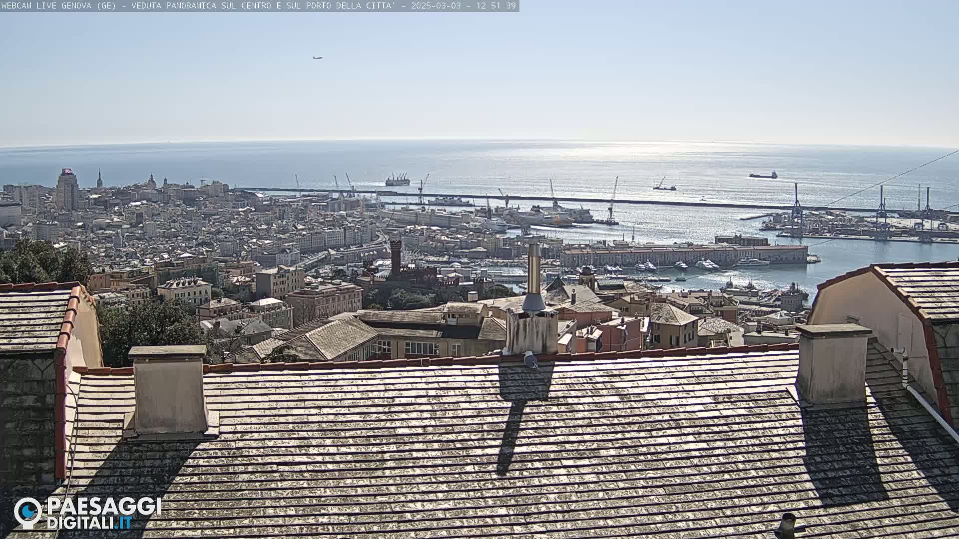 A panoramic view of a city and harbor on a sunny day, seen from a rooftop.