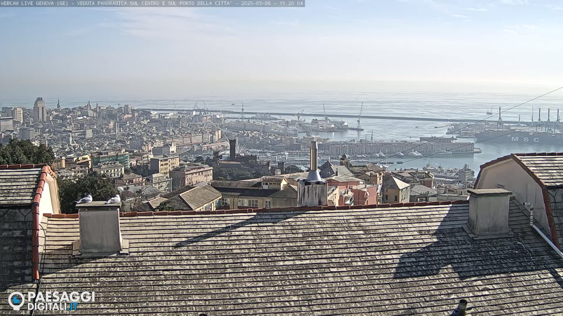 A panoramic view of a city and harbor on a clear, sunny day, seen from a rooftop with two birds perched on a chimney.