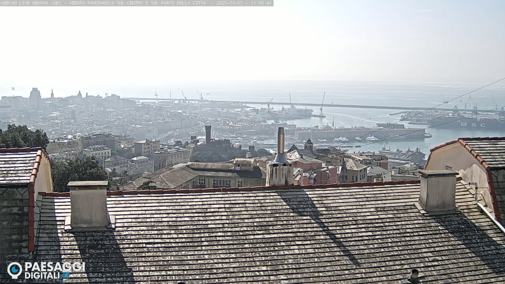 A hazy, sunny day overlooks a city's harbor filled with ships and buildings, viewed from a rooftop.