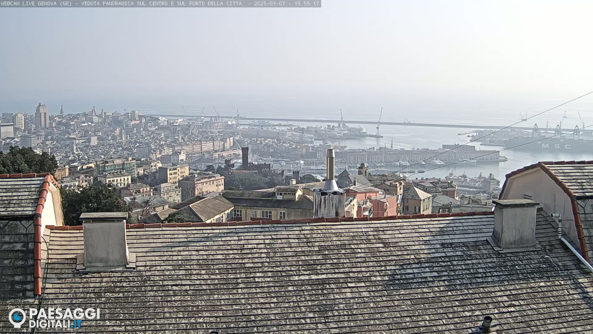 A hazy view of a city and harbor, seen from a rooftop with grey tiled roofs.