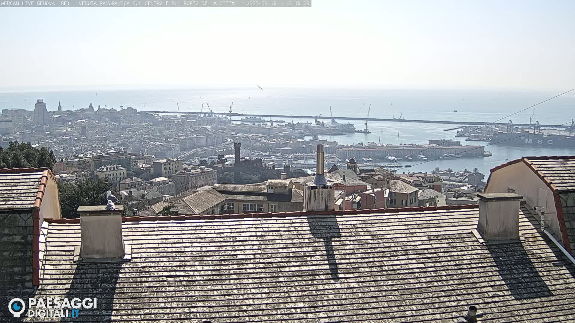 A panoramic view of a city and harbor on a sunny day, seen from a high vantage point overlooking rooftops.