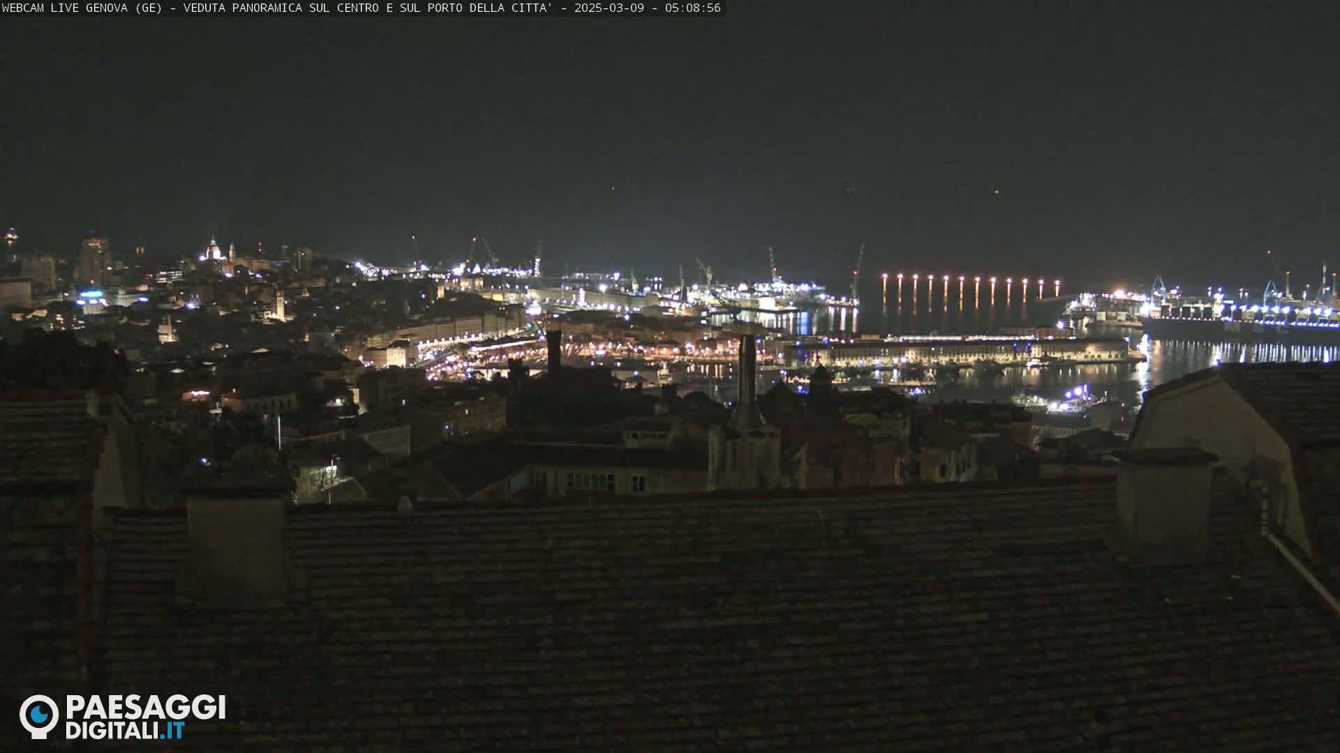 A nighttime panoramic view of a city's harbor and illuminated cityscape, seen from a hilltop.