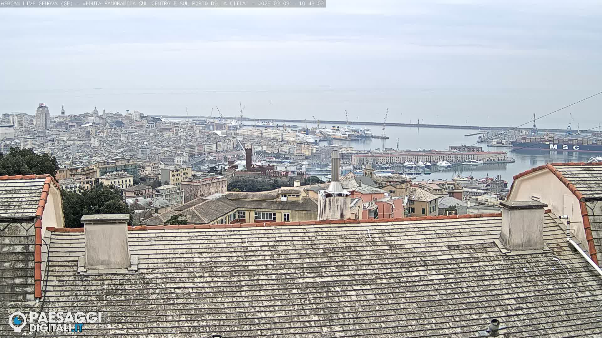 A panoramic view of a city harbor on an overcast day, seen from a rooftop with a tiled roof.