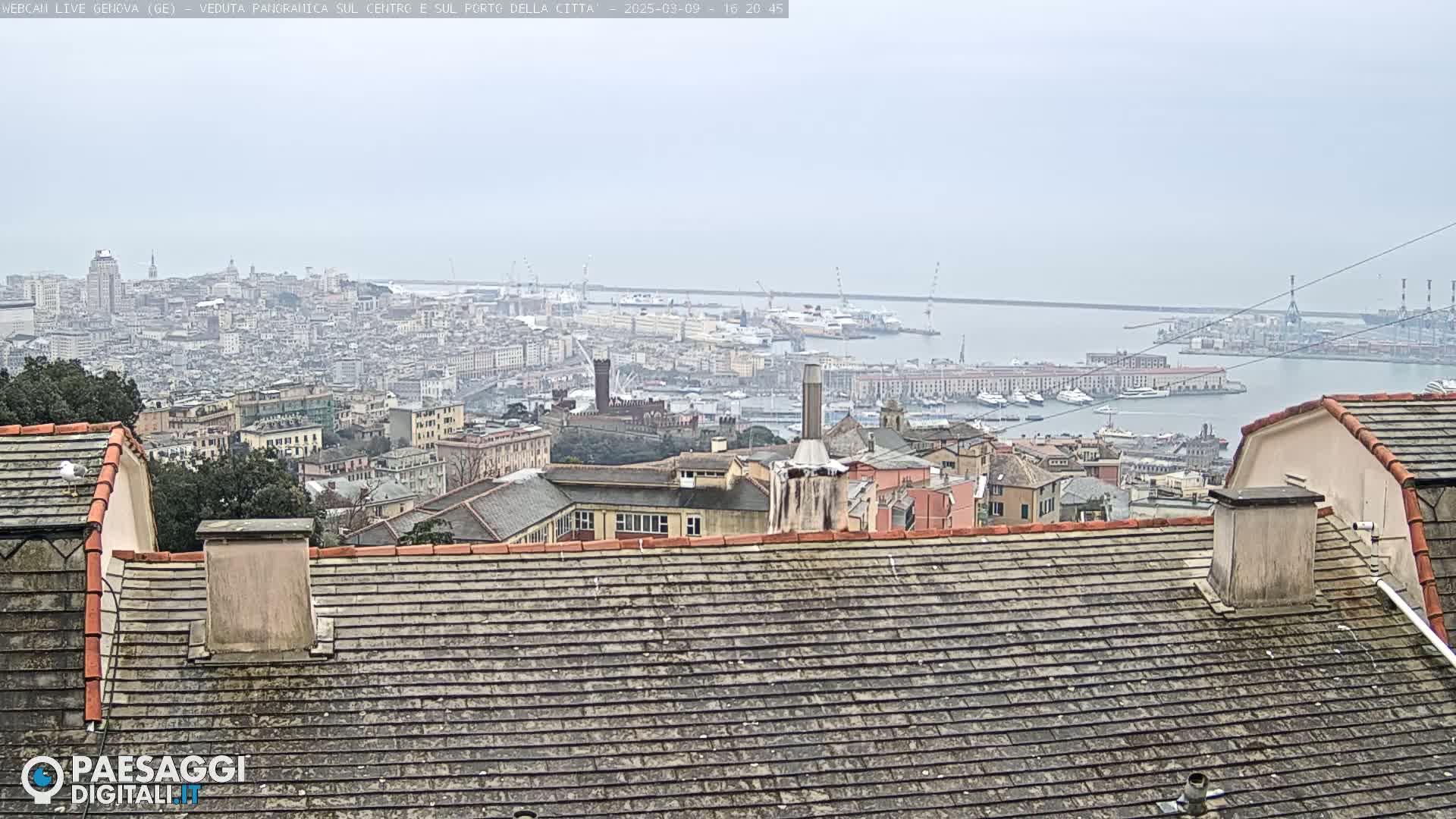 A hazy view from a rooftop shows a large city sprawling down to a harbor filled with boats under a gray sky.