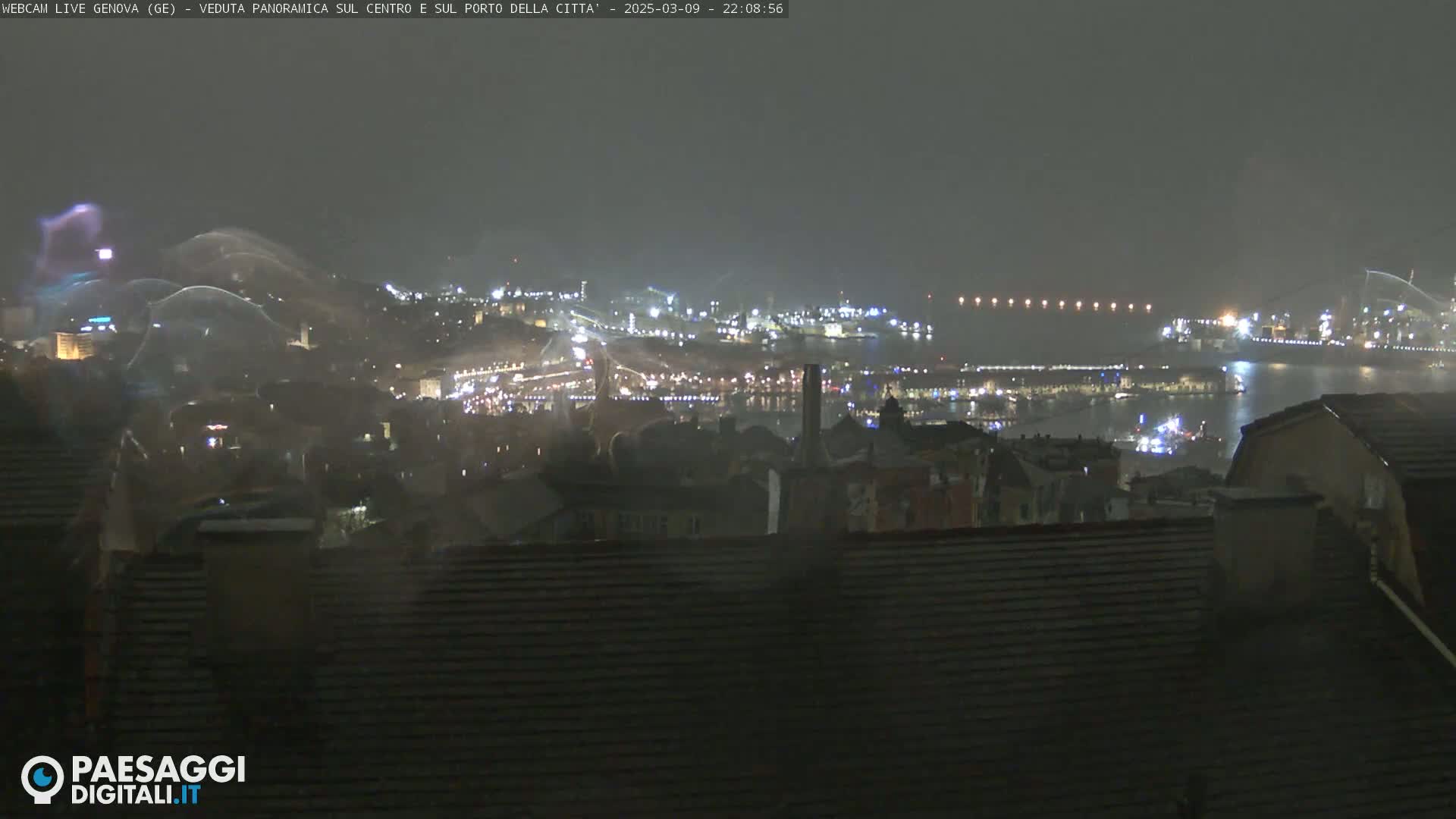 A nighttime, hazy view of a city and harbor, with lights illuminating the cityscape and harbor, under a dark, possibly rainy sky.