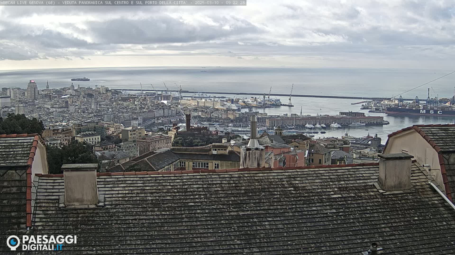 A panoramic view of a city and harbor under a cloudy sky, seen from a rooftop.