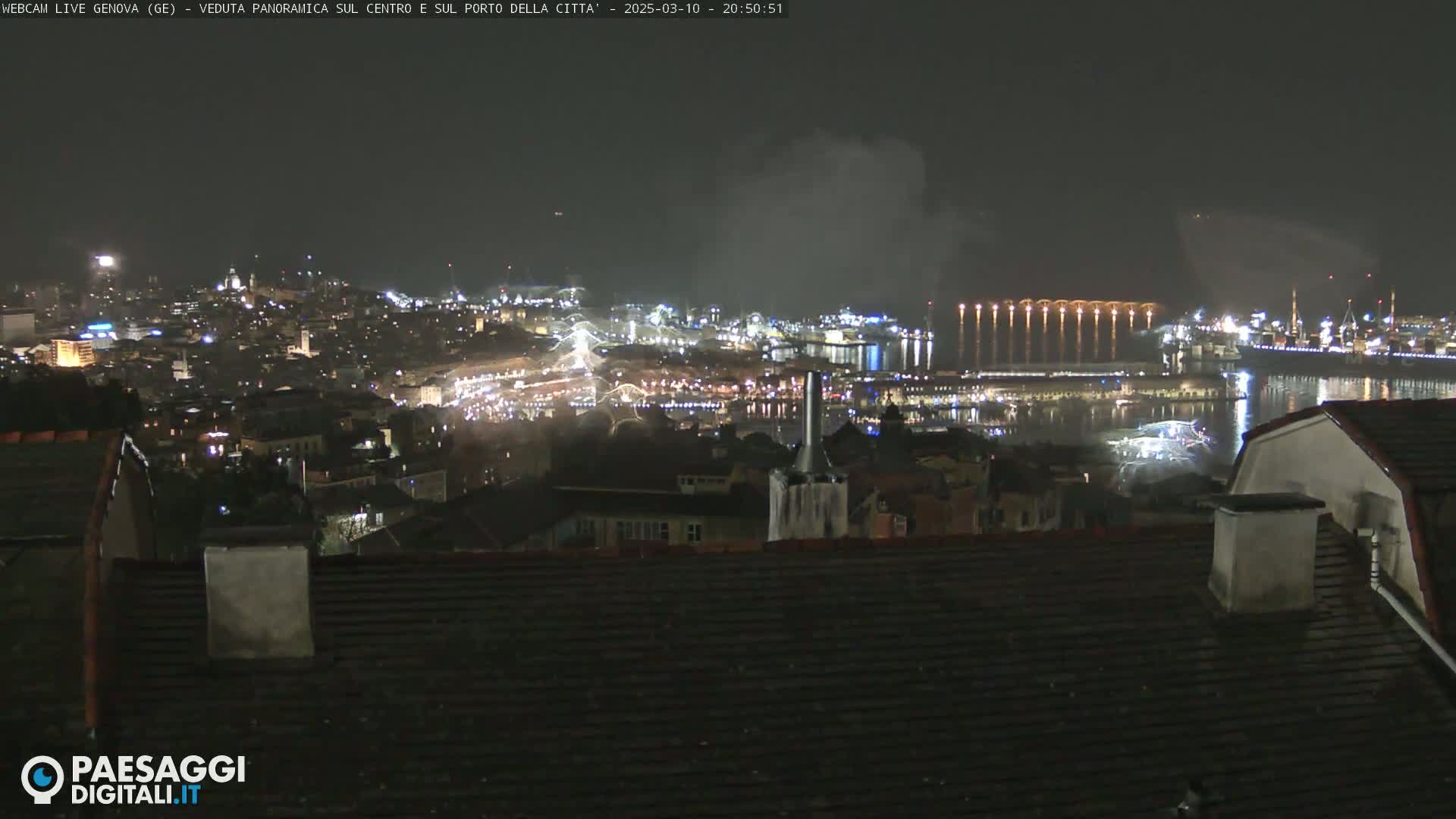 A nighttime panoramic view of a city harbor and cityscape, with a hazy sky.