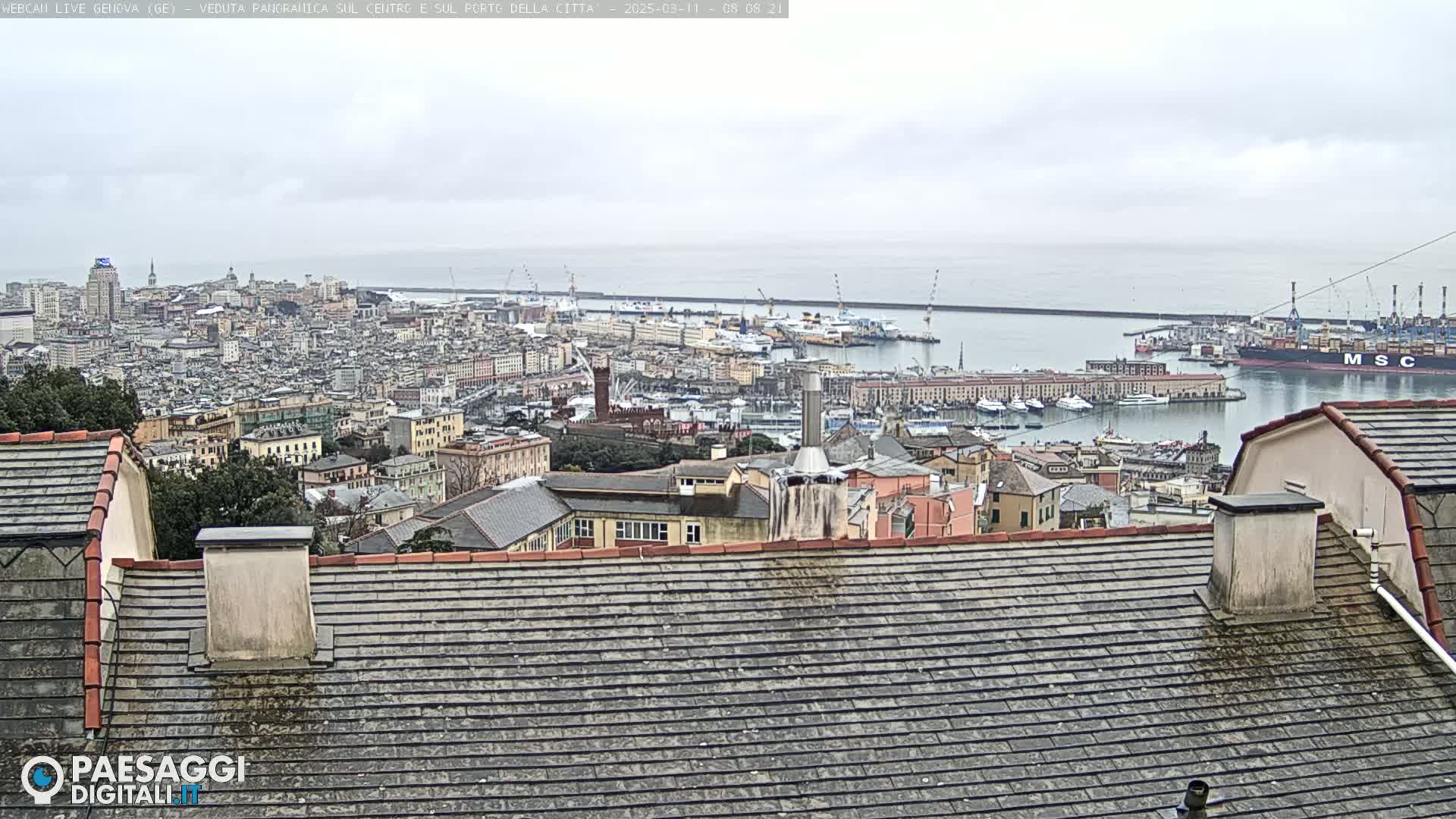 A panoramic view of a city with a harbor filled with ships on an overcast day.