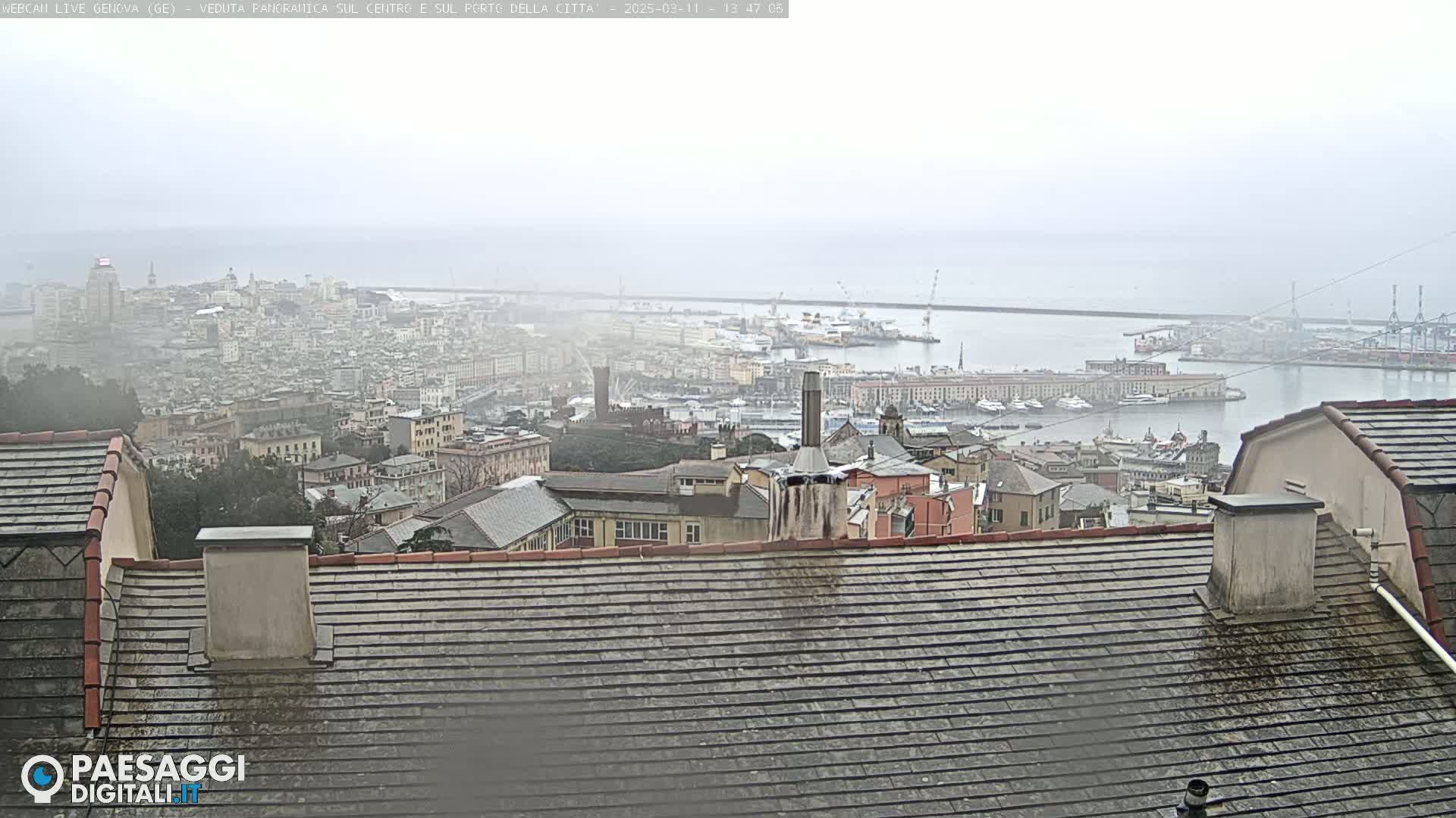 A hazy, overcast view of a city harbor and rooftops from a high vantage point.