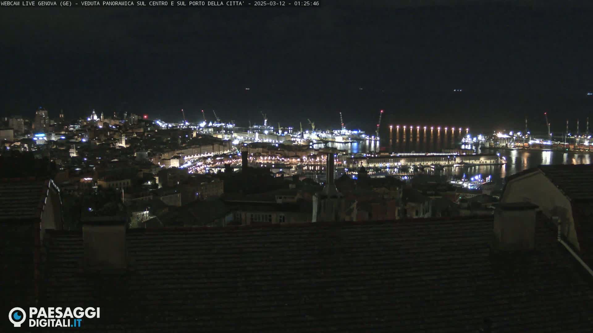 A nighttime, panoramic view of a city's illuminated harbor and buildings, seen from a hilltop.
