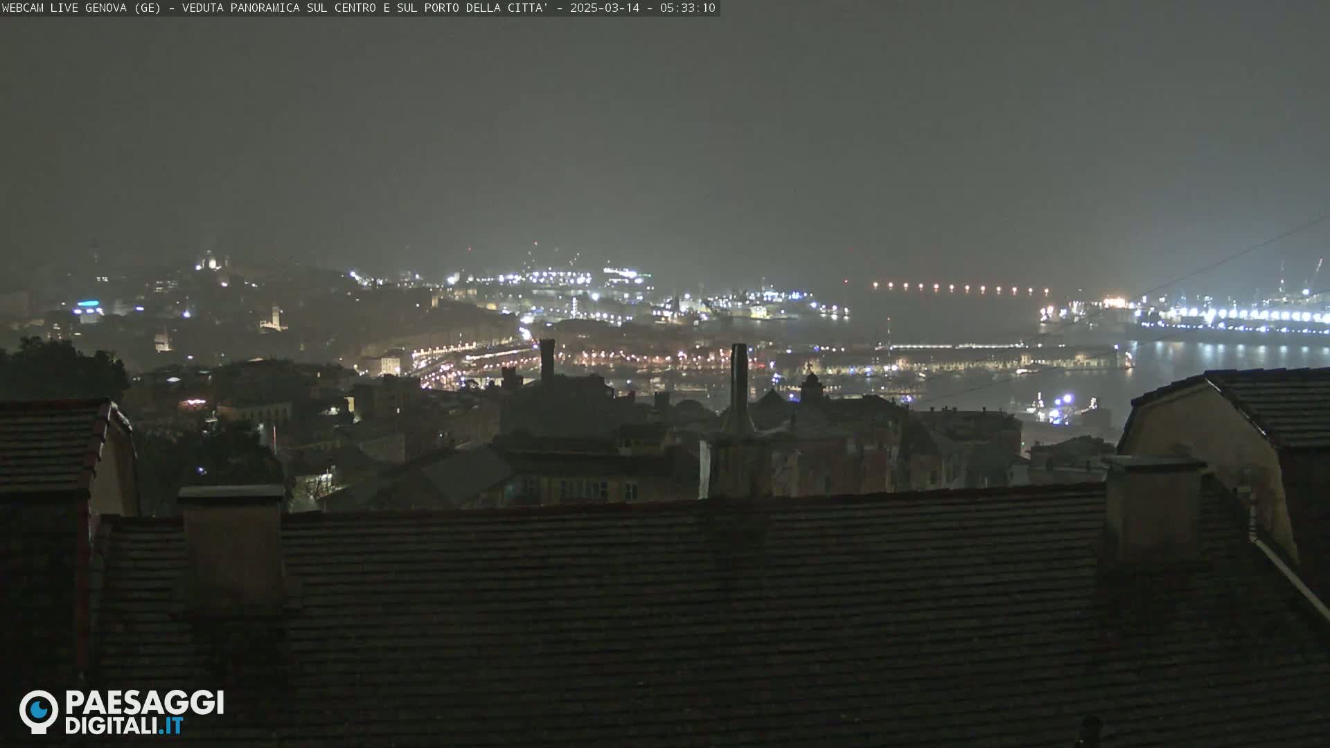 A nighttime, hazy view of a city and harbor, with many lights visible.