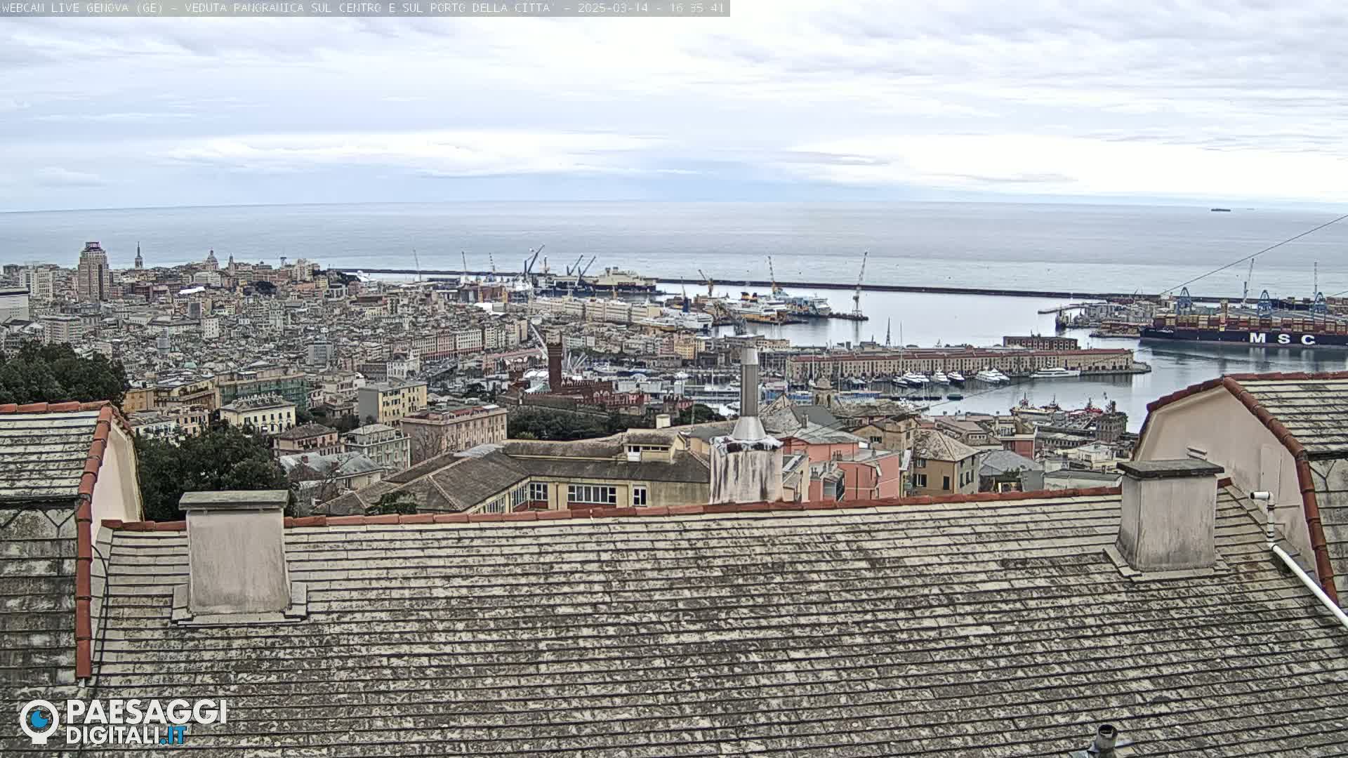 A panoramic view of a city and harbor on an overcast day, seen from a rooftop.