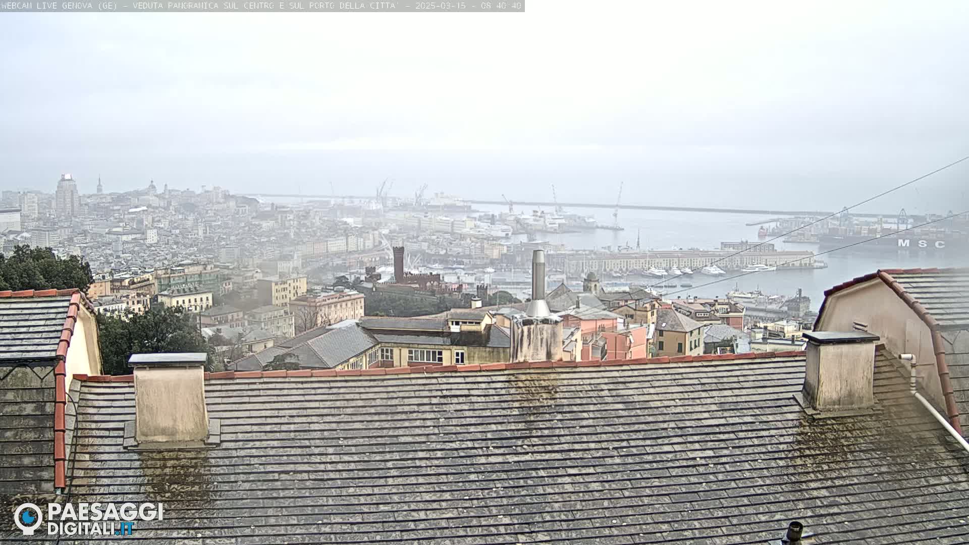 A hazy view of a city harbor and cityscape, seen from a rooftop.