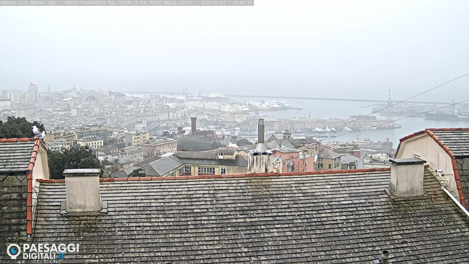 A hazy, overcast view of a city and harbor from a rooftop, with two seagulls perched on a nearby chimney.