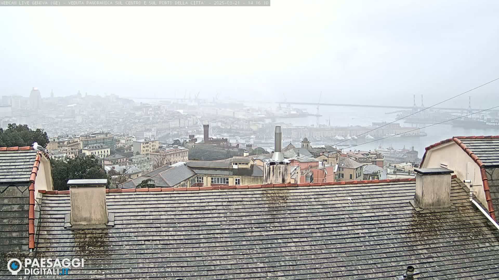A hazy, overcast view of a city and harbor, seen from a rooftop with a seagull perched on a nearby building.