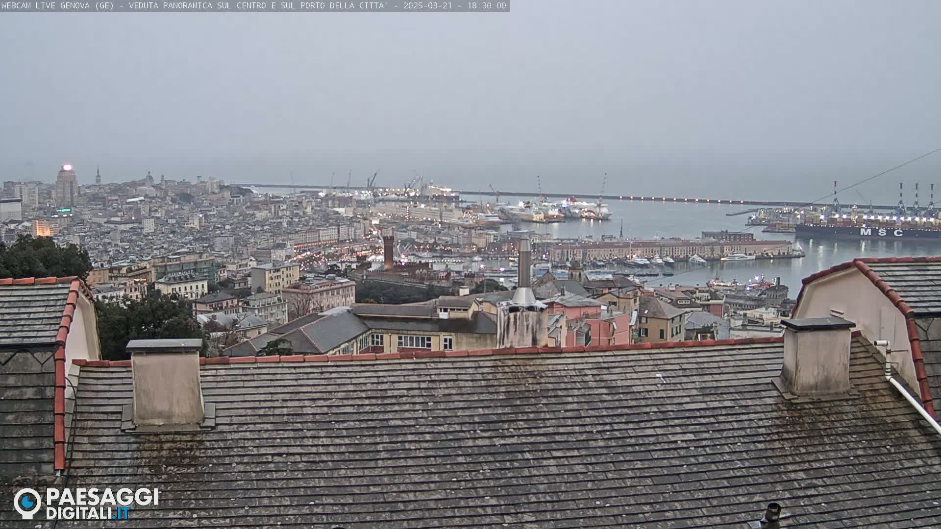 A panoramic view of a city and harbor on an overcast day, seen from a high vantage point overlooking a tiled roof.