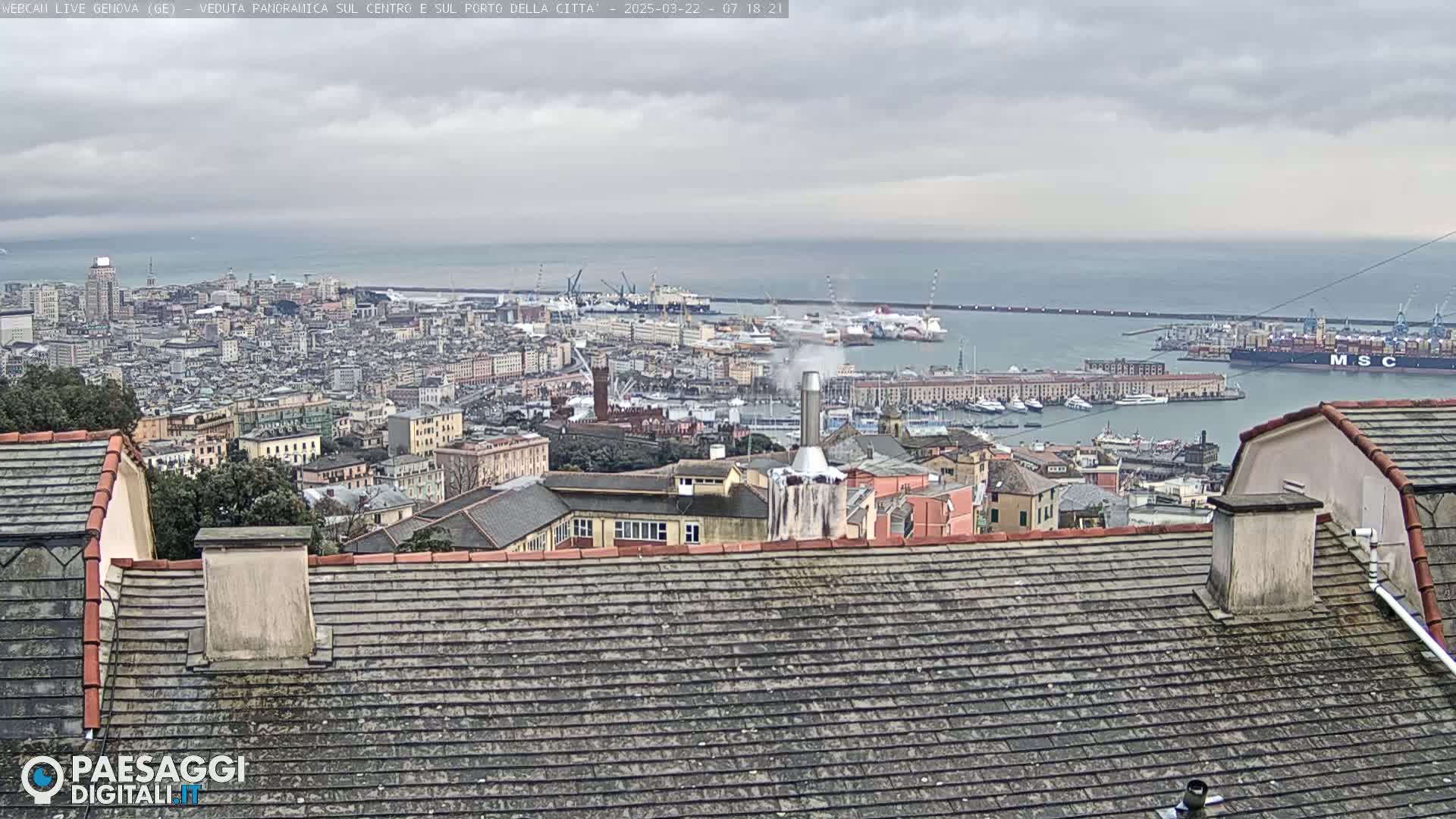 A panoramic view of a city and harbor on an overcast day, showing many buildings, ships, and a portion of a tiled roof in the foreground.