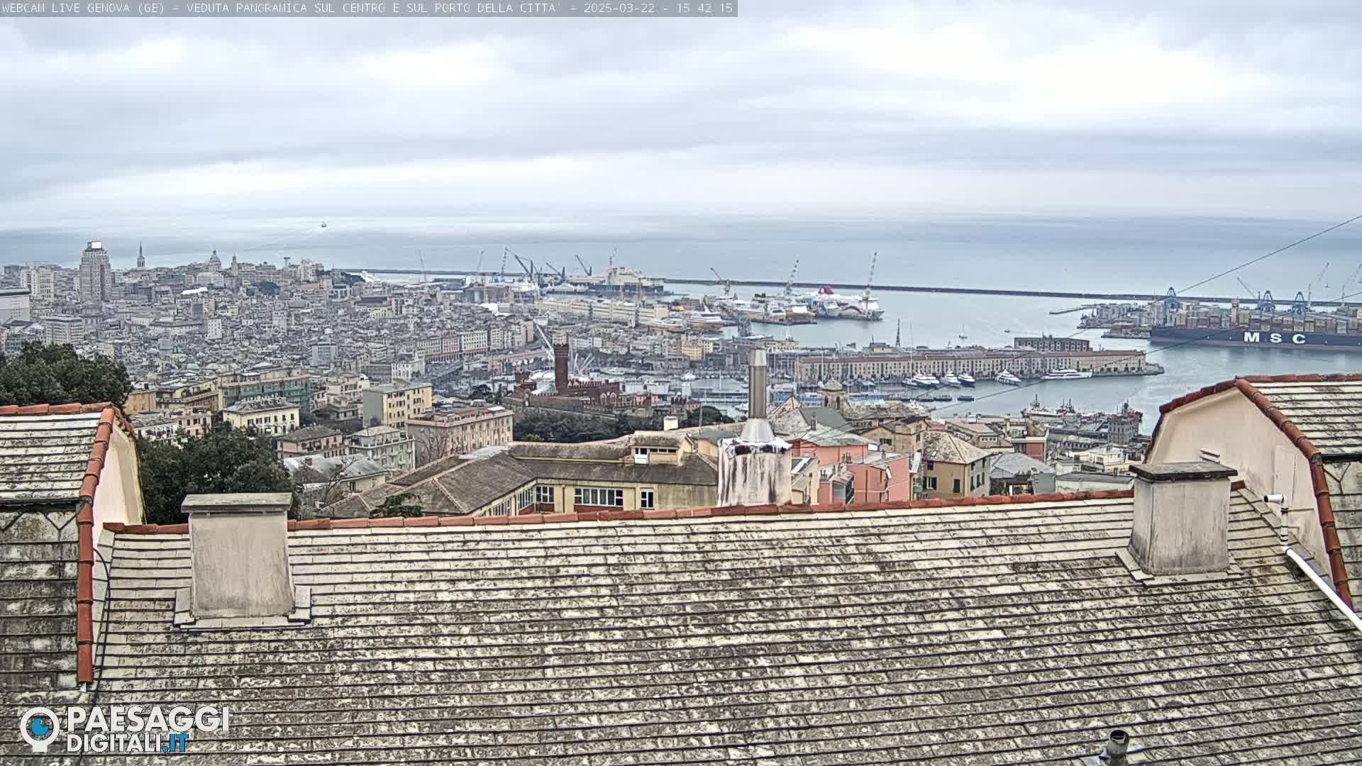 A panoramic view of a city and harbor on an overcast day, seen from a rooftop.