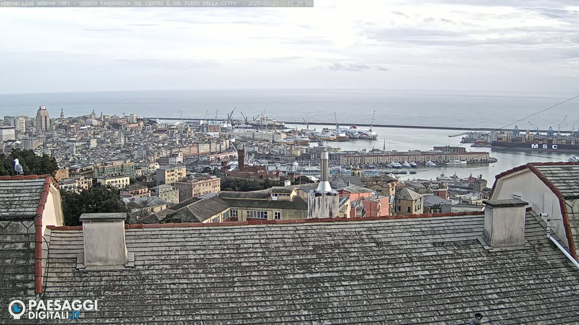 A panoramic view of a city harbor and coastline under an overcast sky, seen from a rooftop.