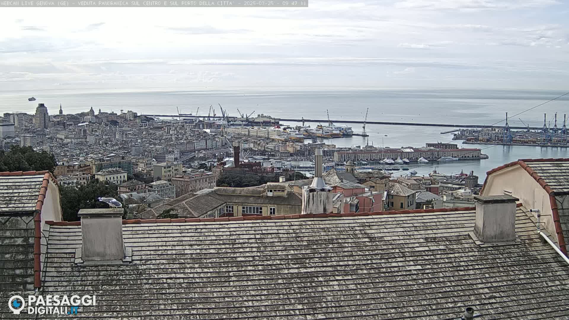 A sprawling city with a harbor filled with boats and cranes is visible from a high vantage point on an overcast day.
