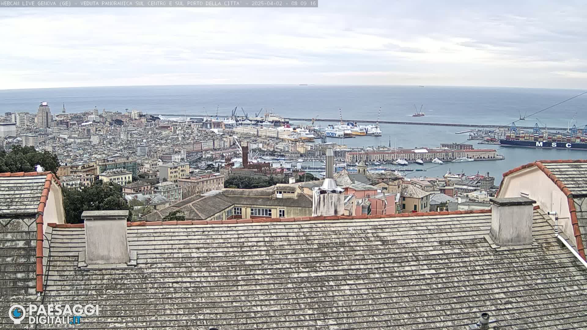 A panoramic view of a city and harbor under an overcast sky, seen from a rooftop.