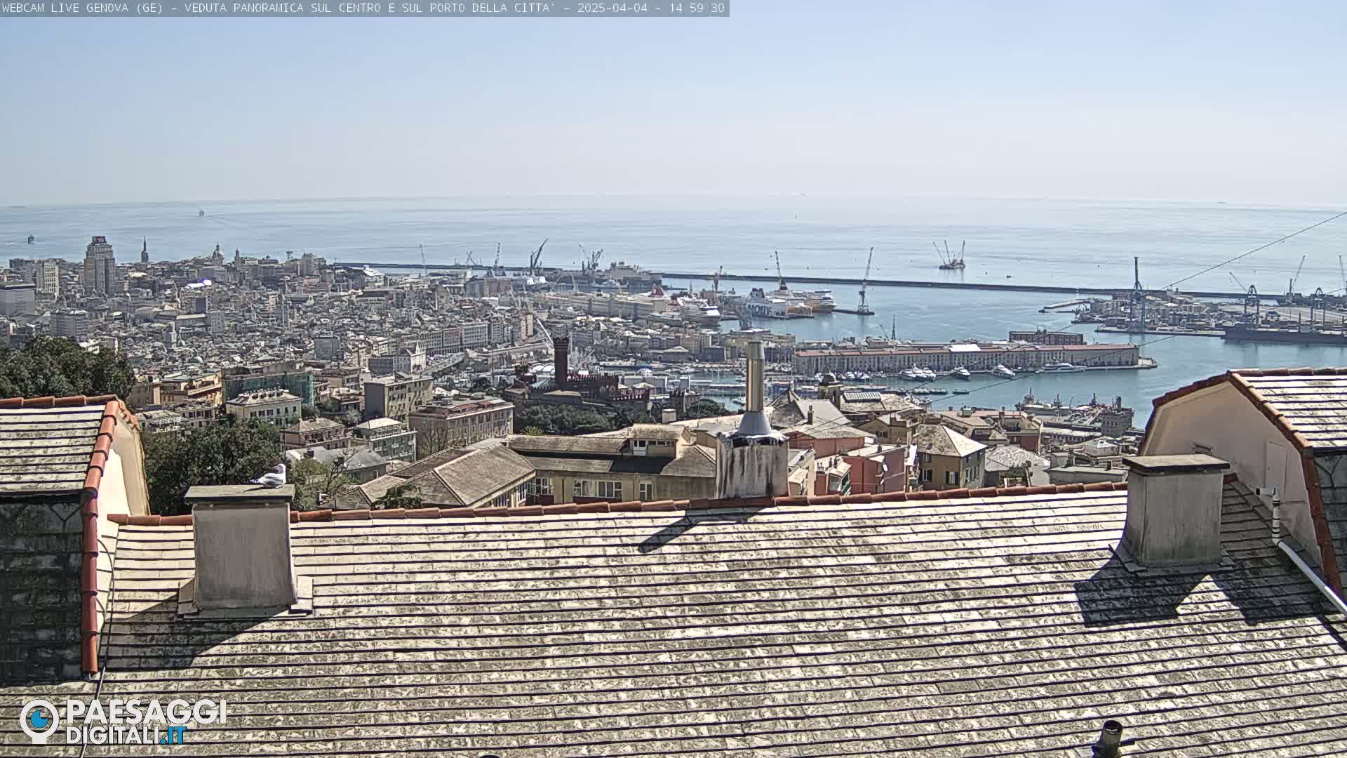 A panoramic view of a city and harbor on a sunny day, seen from a rooftop with a view of the ocean in the distance.