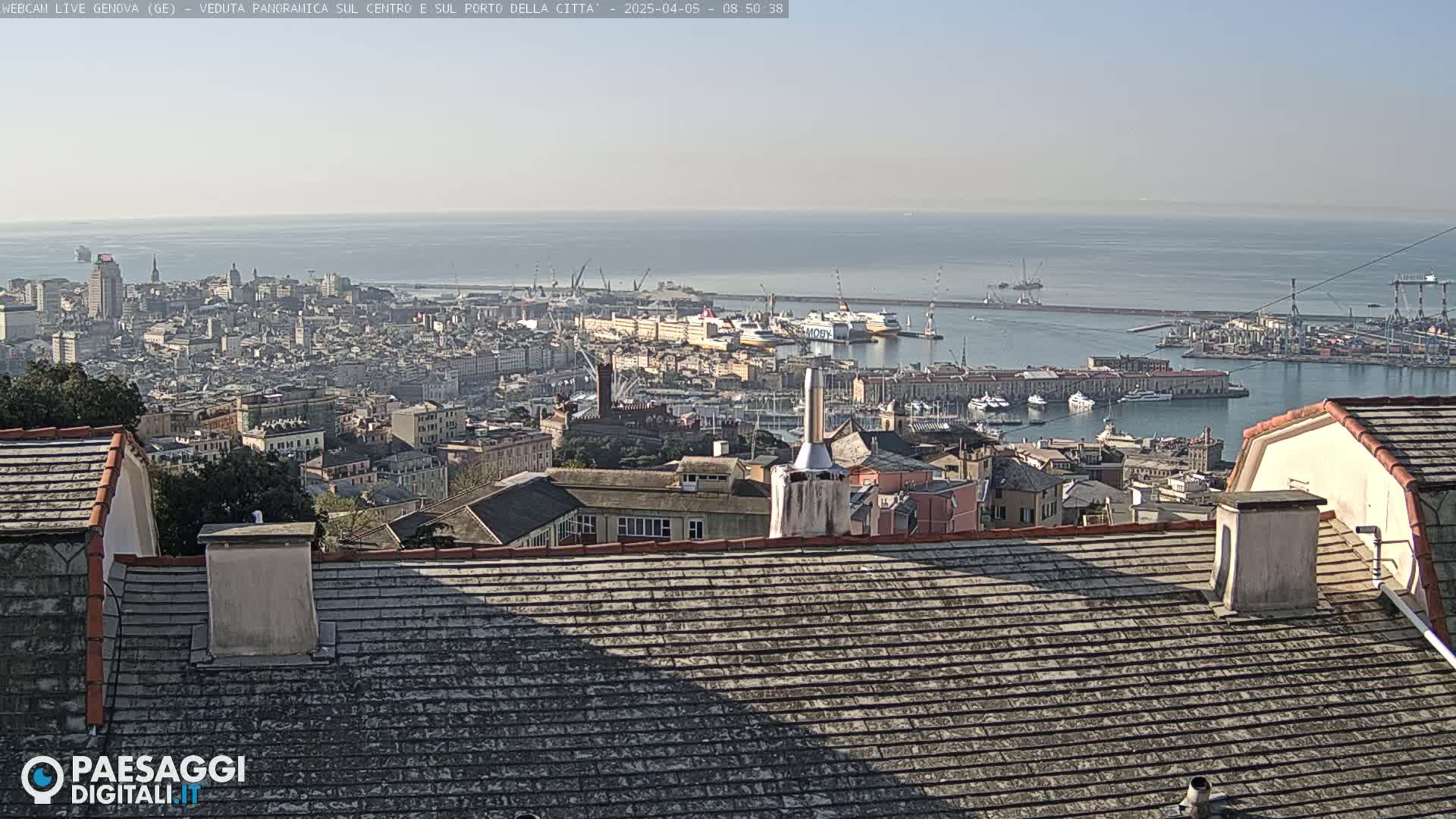 A panoramic view of a city and harbor on a clear, sunny day shows a large body of water with numerous ships and boats, and a cityscape extending into the distance.