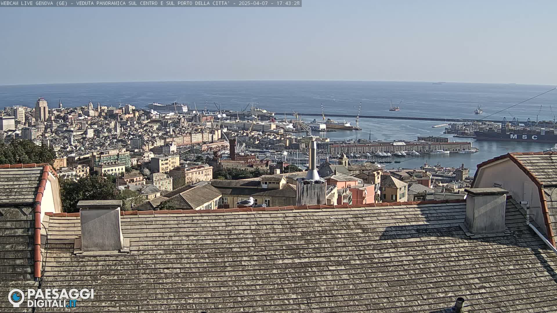 A panoramic view of a city harbor with numerous buildings, ships, and a clear blue sky and sea.