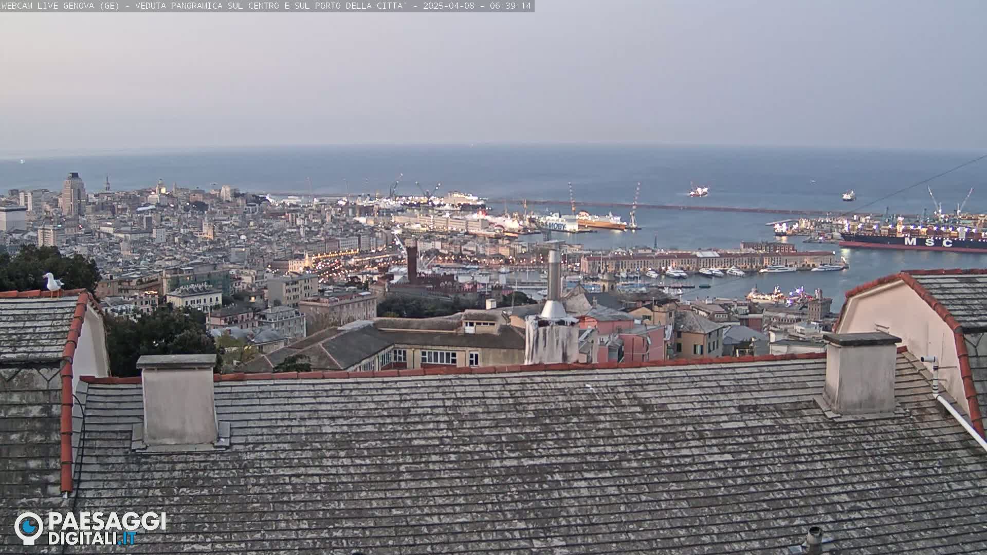 A panoramic view of a city and harbor at dusk, under a mostly clear sky, seen from a rooftop.