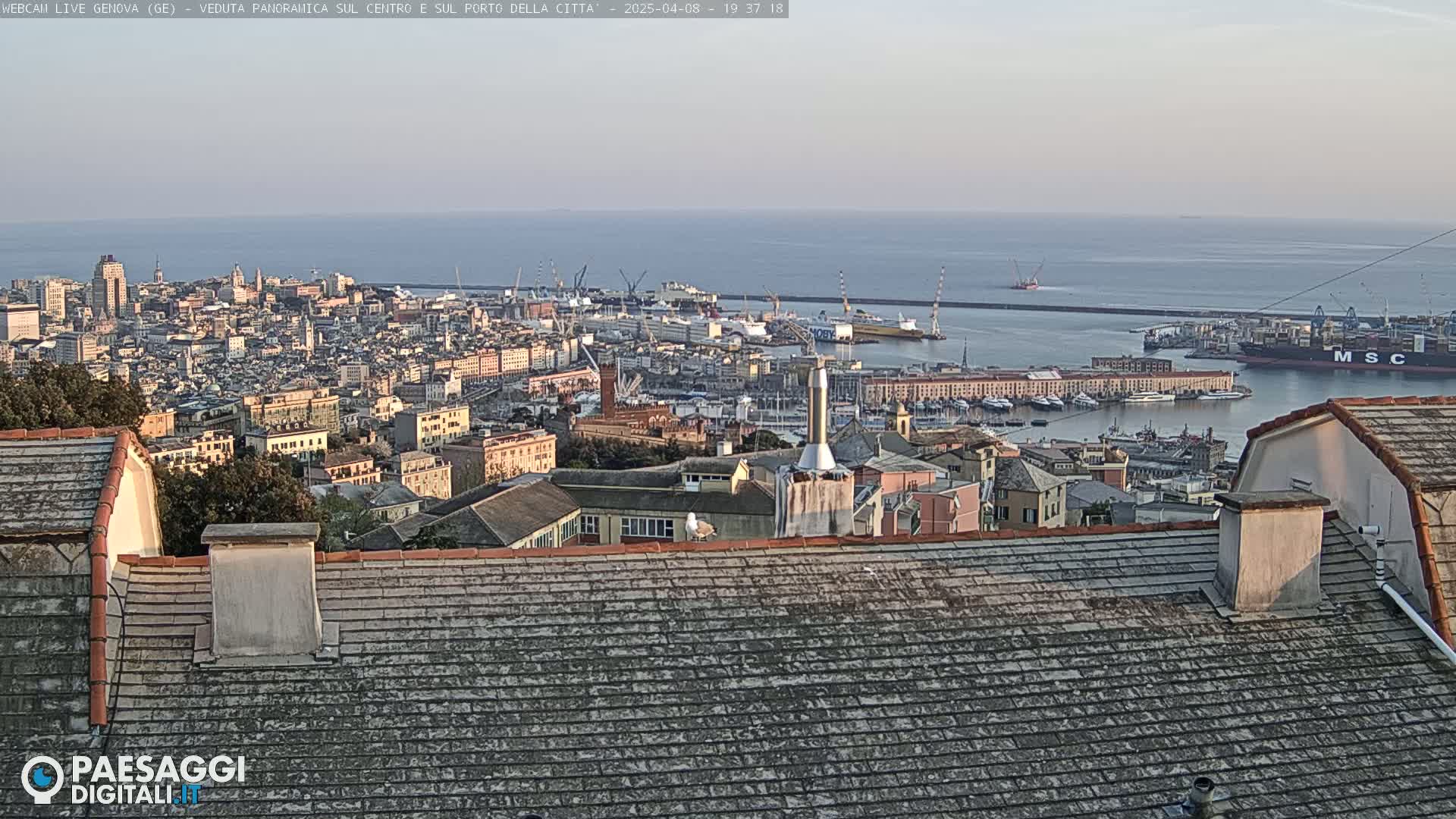 A panoramic view of a city and harbor, with a calm sea under a clear sky, seen from a rooftop.